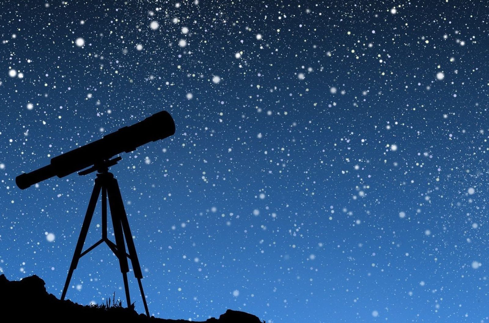 Los grupos son reducidos para asegurar la calidad de la observación.