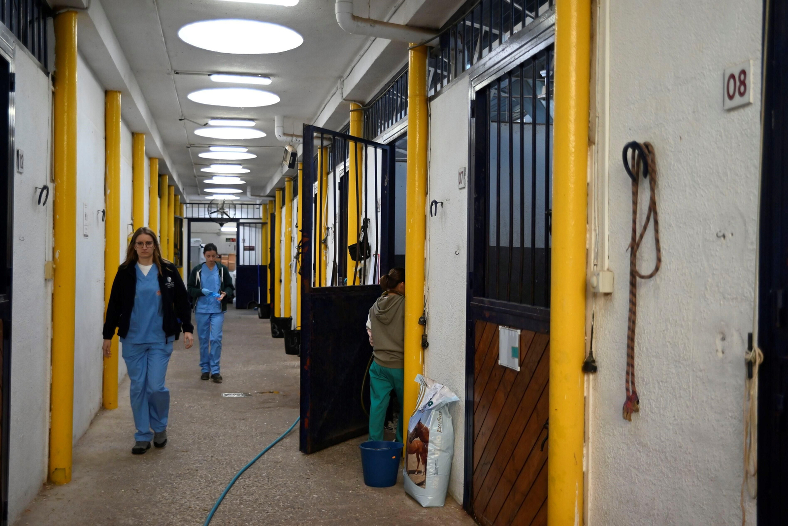 El Hospital Veterinario de la Universidad de Córdoba, en imágenes