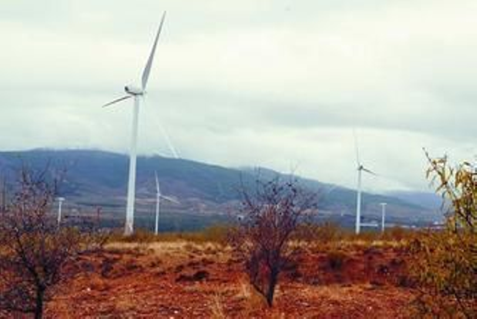 Una nueva herramienta on line permitirá ver el potencial eólico.