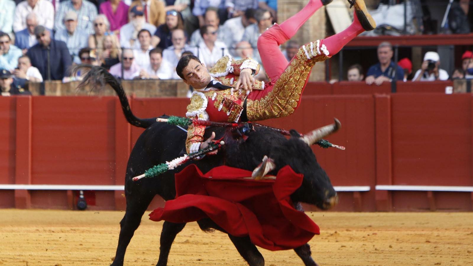 Ureña volando durante una voltereta del toro. Ureña volando durante una voltereta del toro.