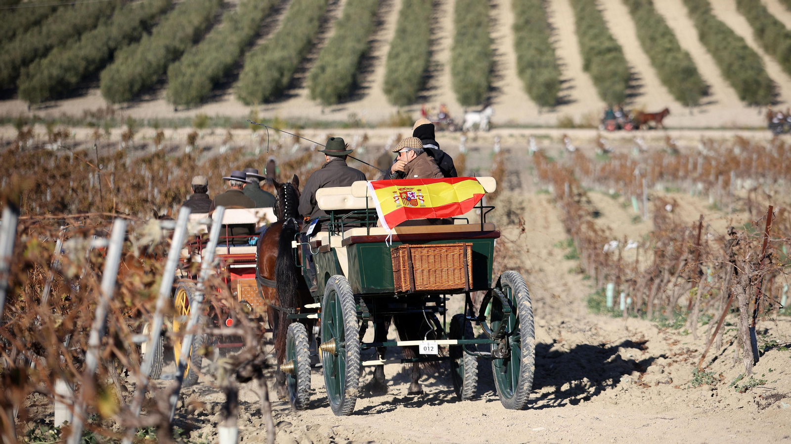 II Ruta Viñas de Jerez