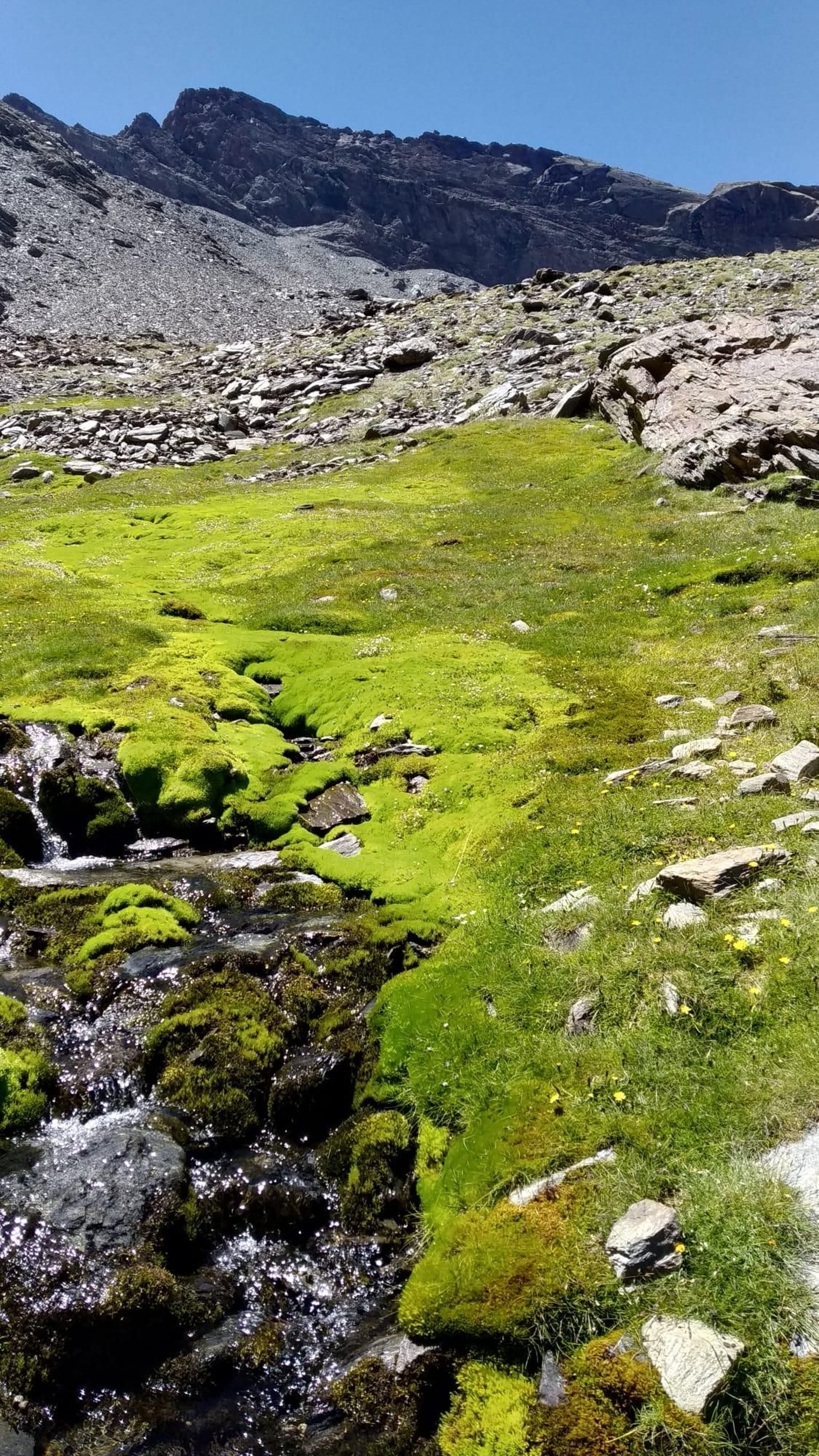 Imagen remitida por la Universidad de Granada.