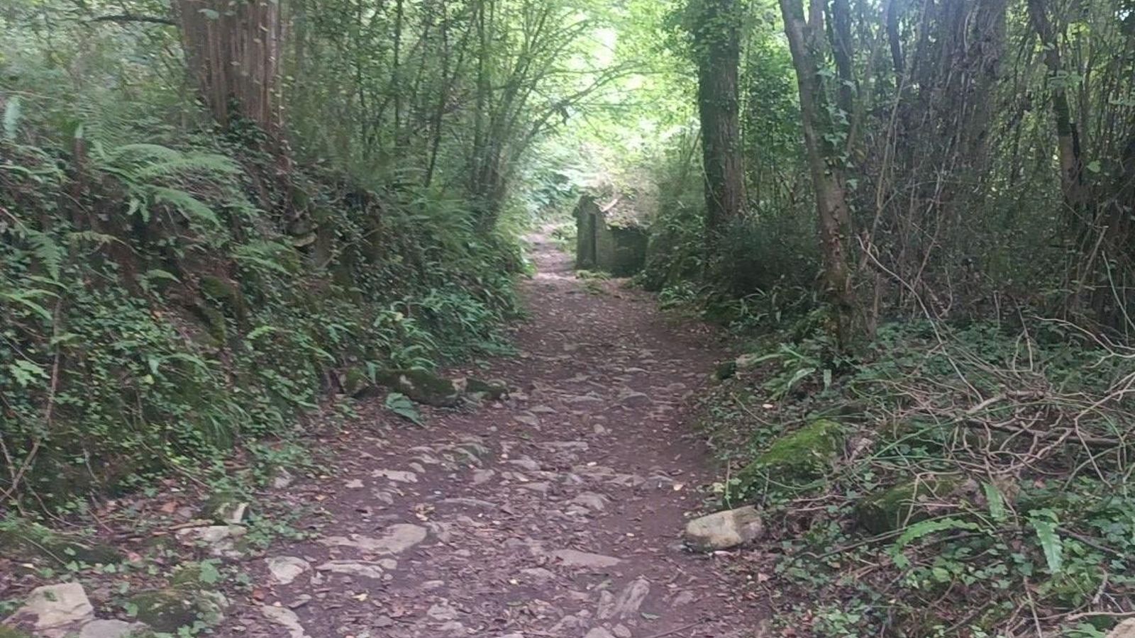 El recorrido nos sorprende de vez en cuando con algunos tramos por densos bosques.