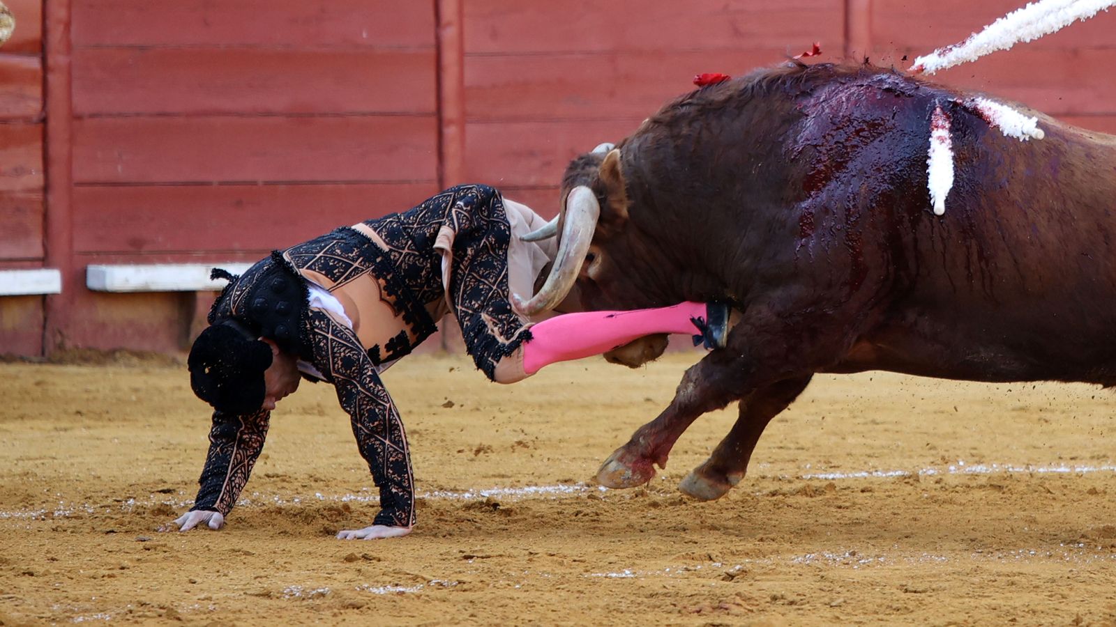 Última tarde de toros de la Feria de Jerez 2024 con Morante, Manzanares y Castella