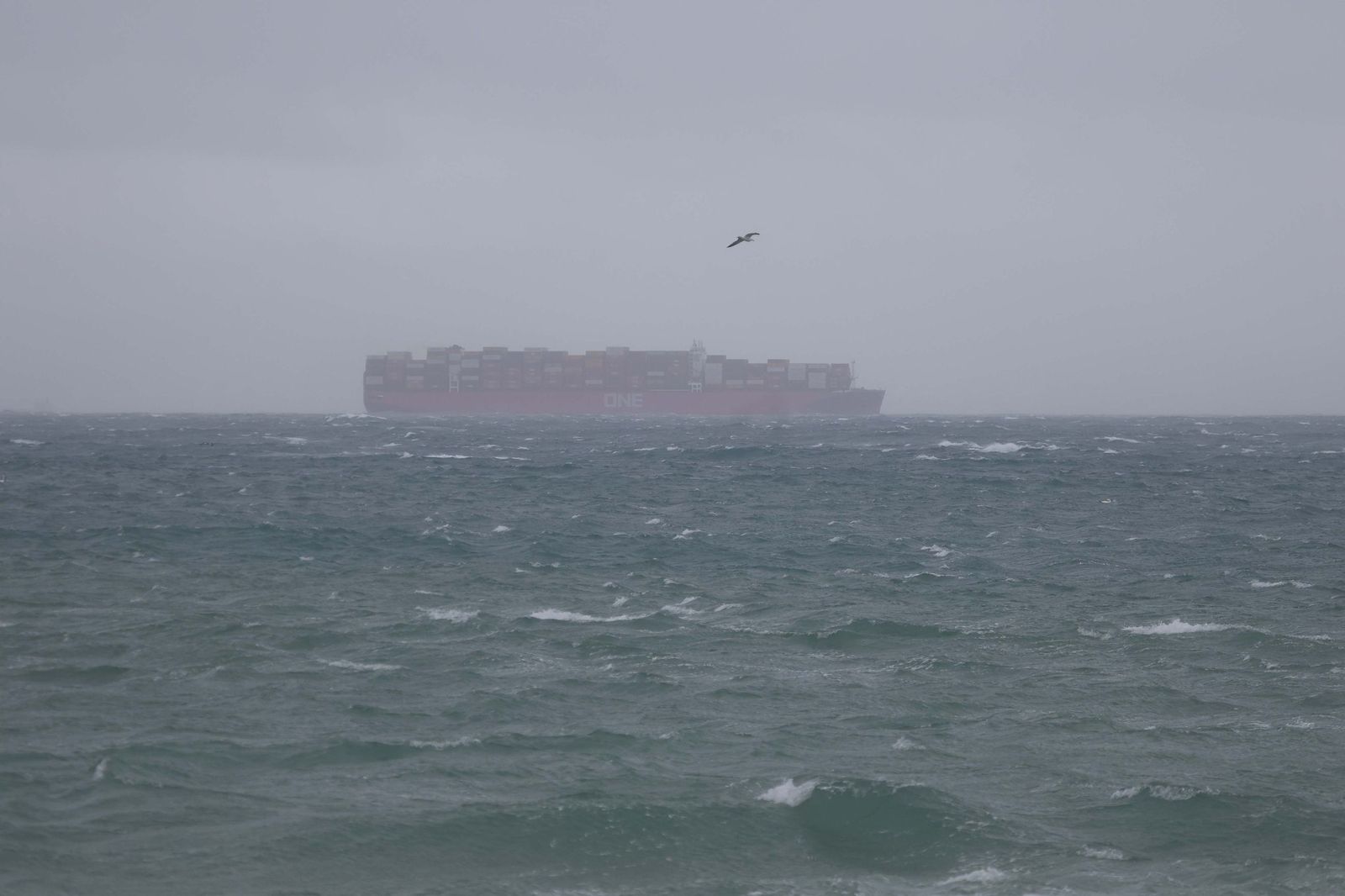 Fotos de los efectos de la borrasca Leonardo en Tarifa, Algeciras y Castellar