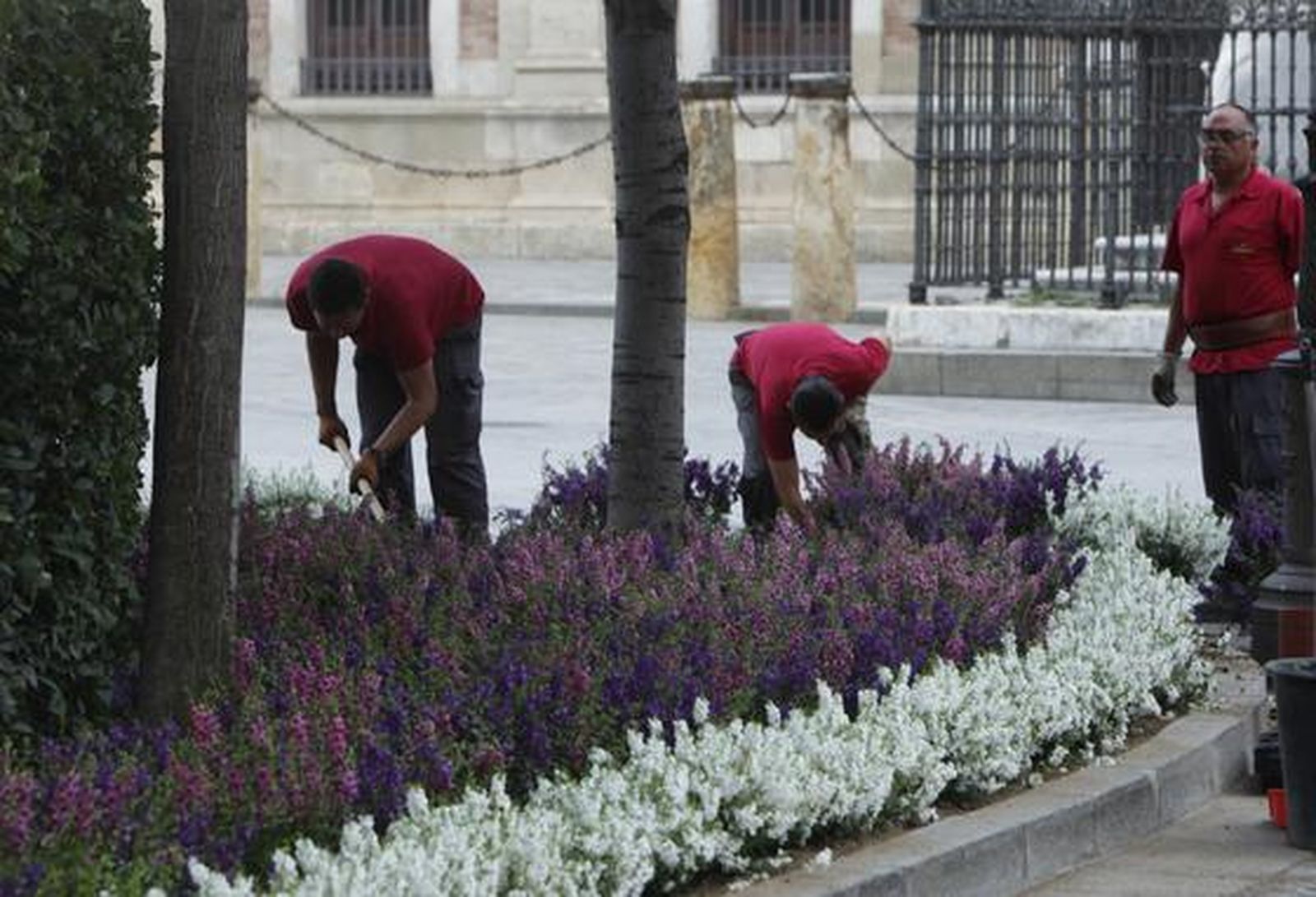 Foto: Juan Carlos Vázquez