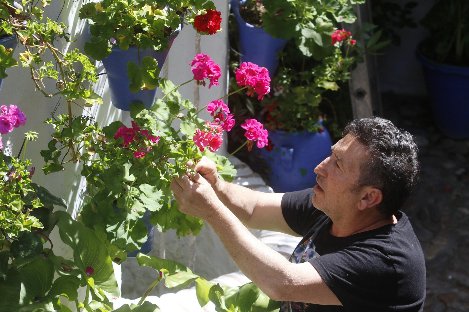 Las fotos de los Patios de Córdoba en tiempos de crisis: Postrera, 28