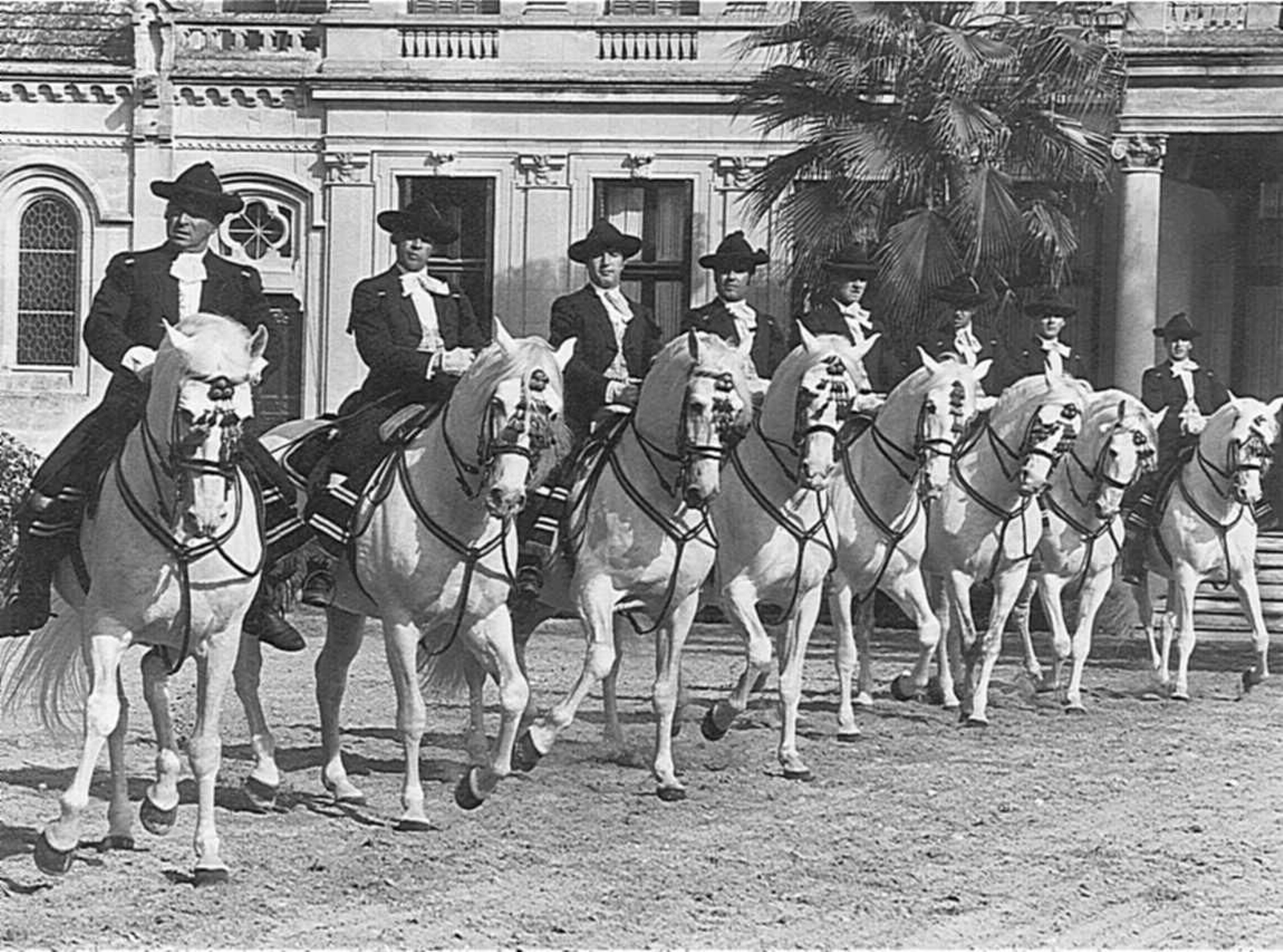 Álvaro Domecq, una vida en imágenes