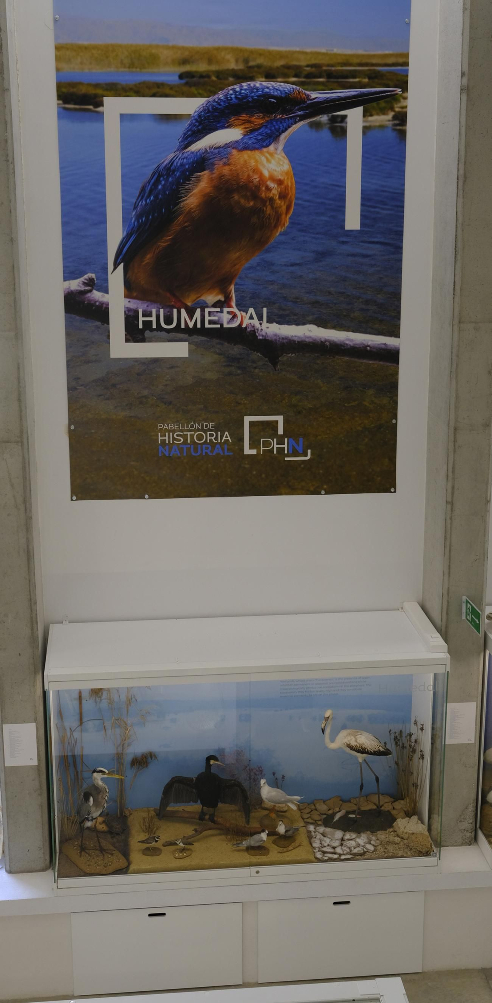 Descubre en estas fotos las maravillas que esconde el Pabellón de Historia Natural de la UAL