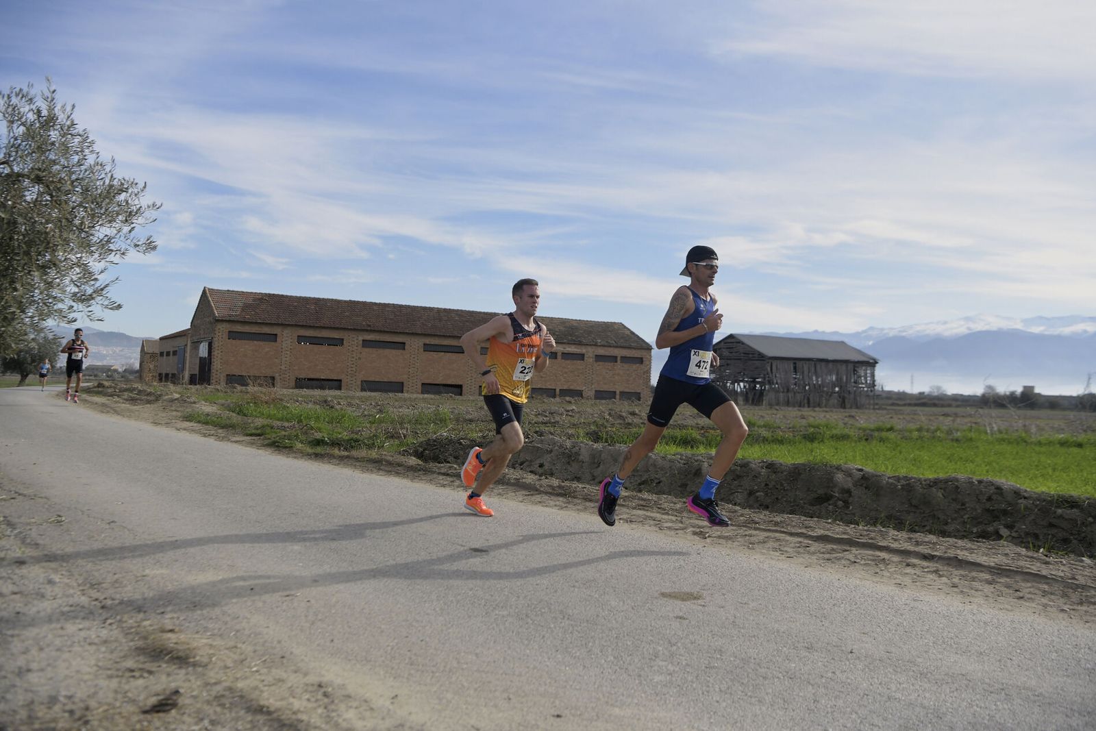 Las imágenes de la Carrera de la Ruta del Secadero de Cúllar Vega