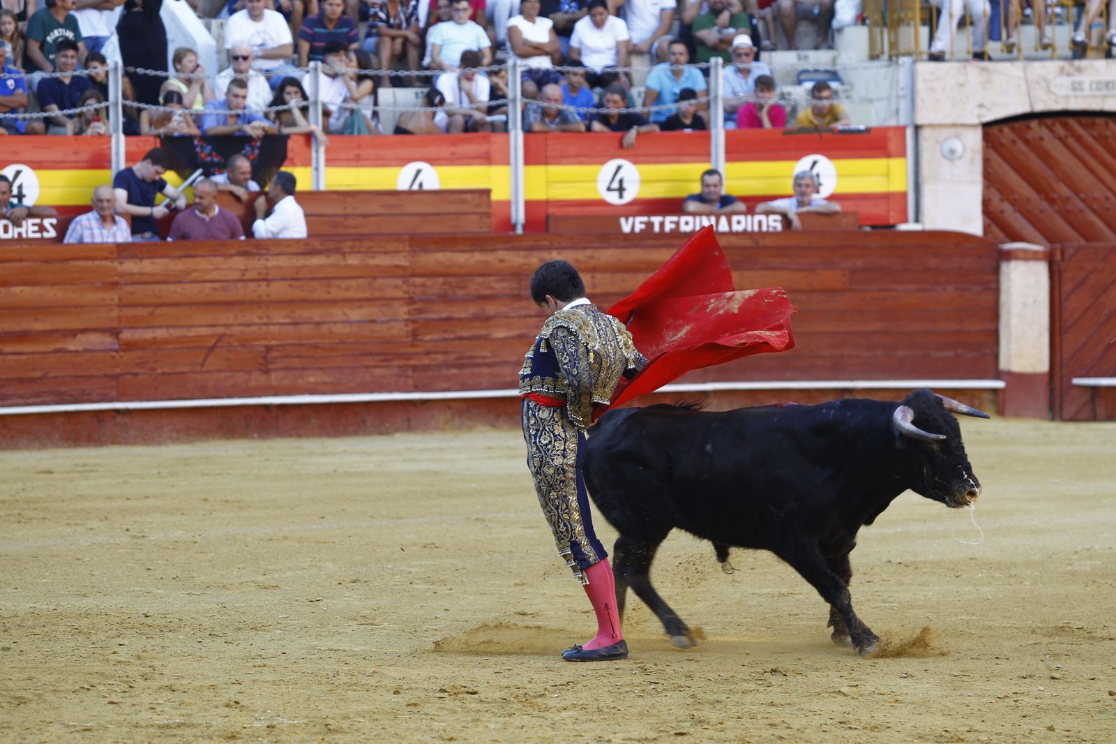 Imágenes de la novillada organizada por la Escuela Taurina de Almería