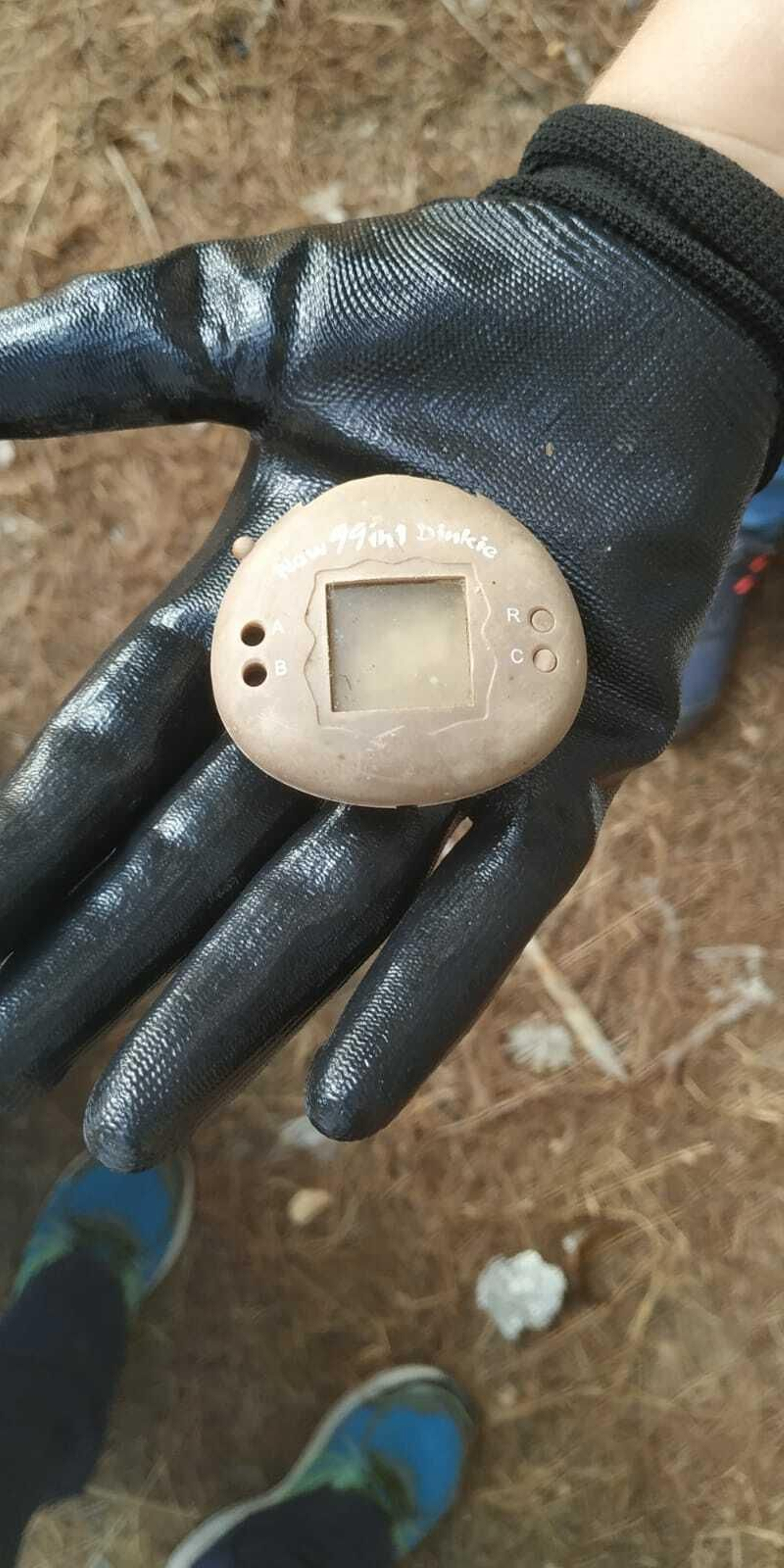 El tamagotchi encontrado este domingo en Alcosa.