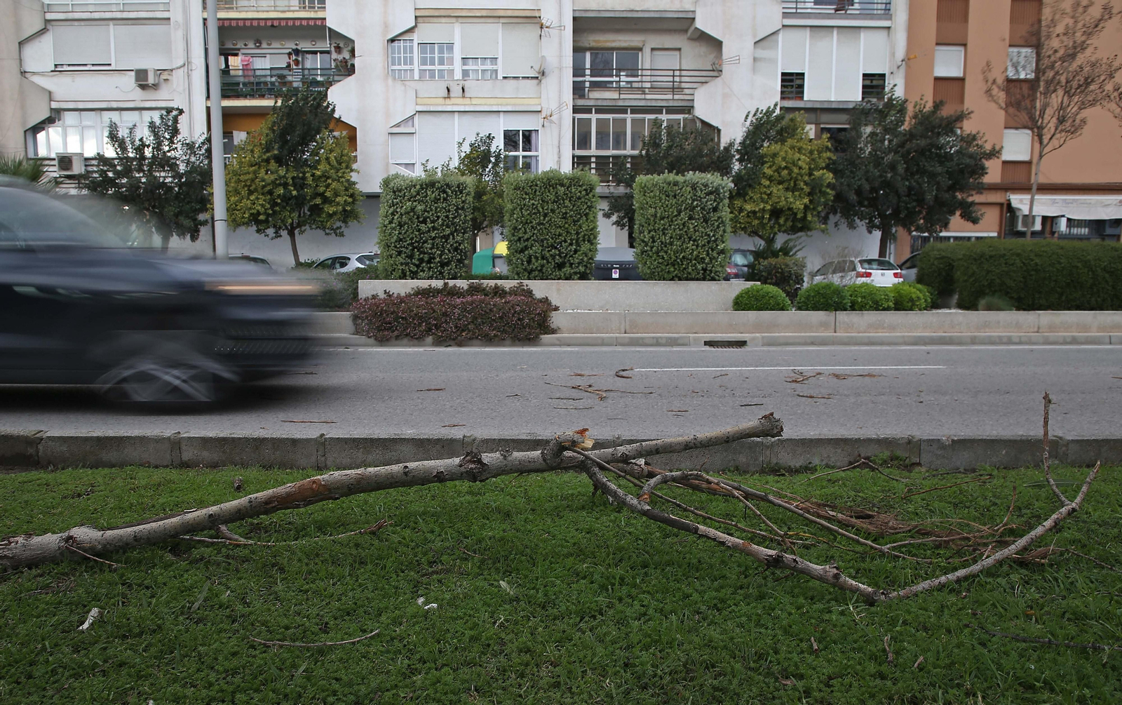 Fotos de los efectos del temporal de viento en Algeciras