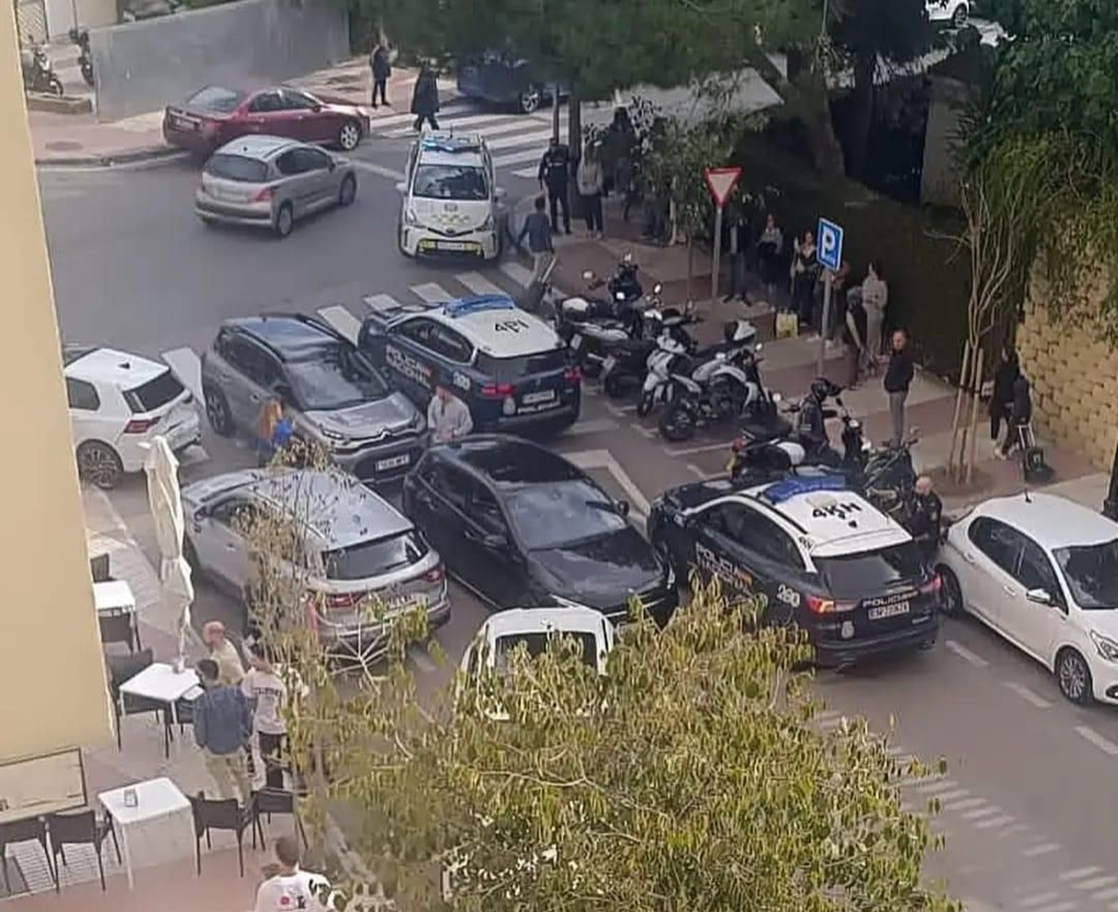 Coches patrulla de la Policía en la calle Alfredo Palma.