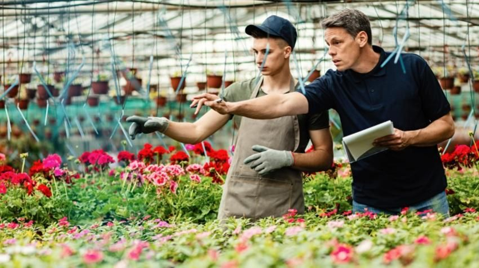 Unas prácticas de formación profesional.