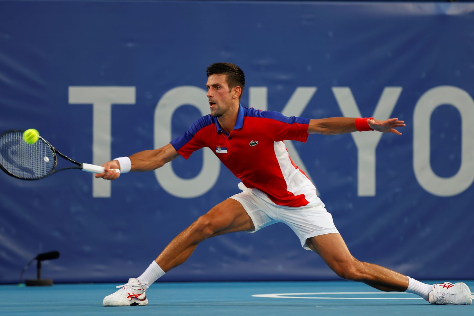 Las fotos del Davidovich-Djokovic