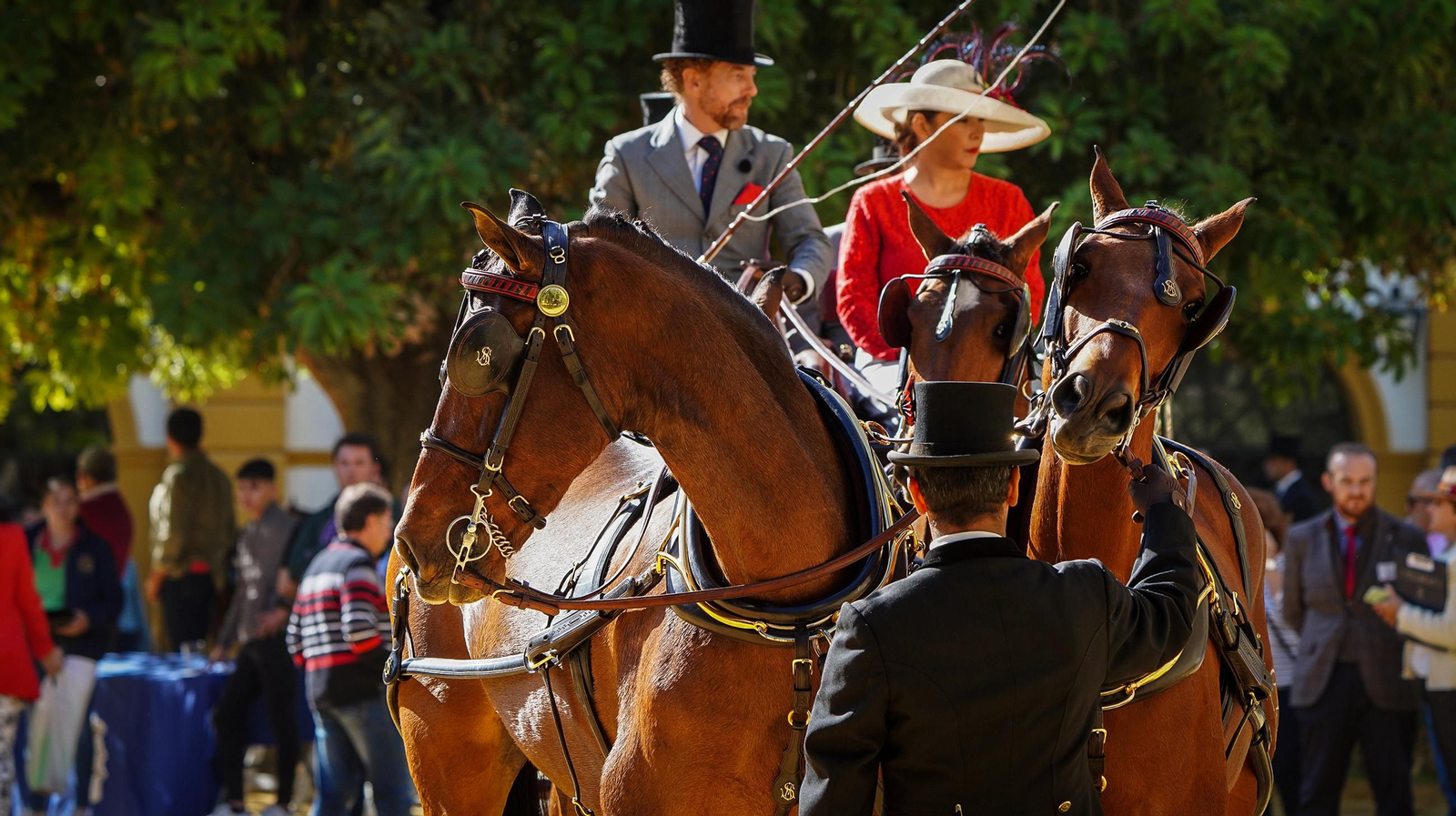Tradición y elegancia en el Concurso Internacional de Enganches