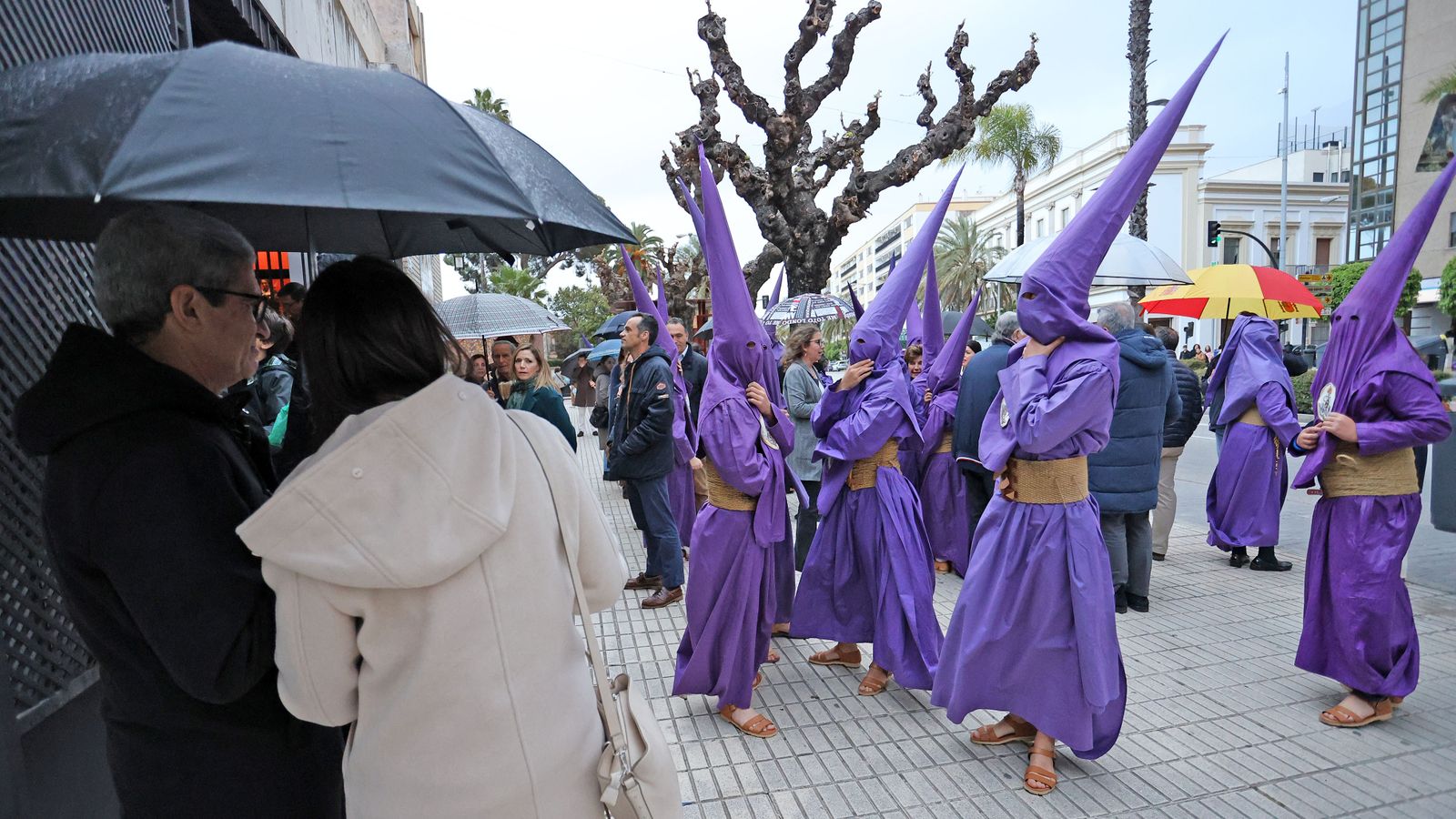 La Hermandad de la Defensión de Jerez, en imágenes