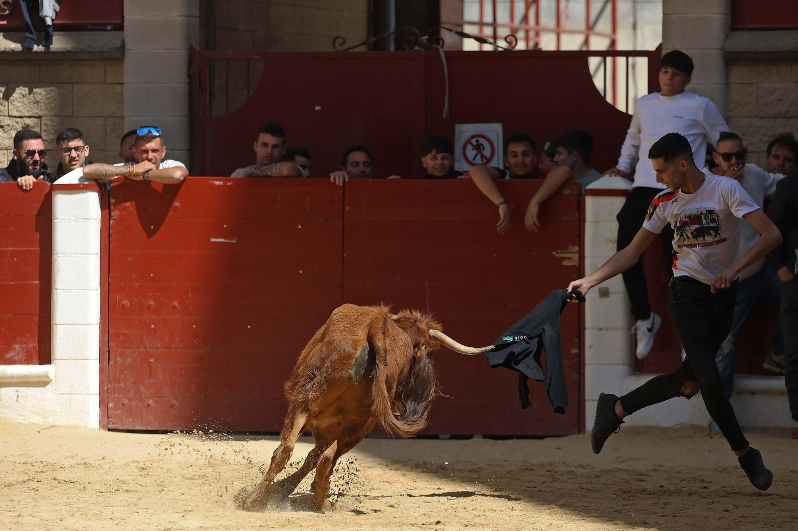 Las mejores fotos del Toro Embolao de Los Barrios 2024