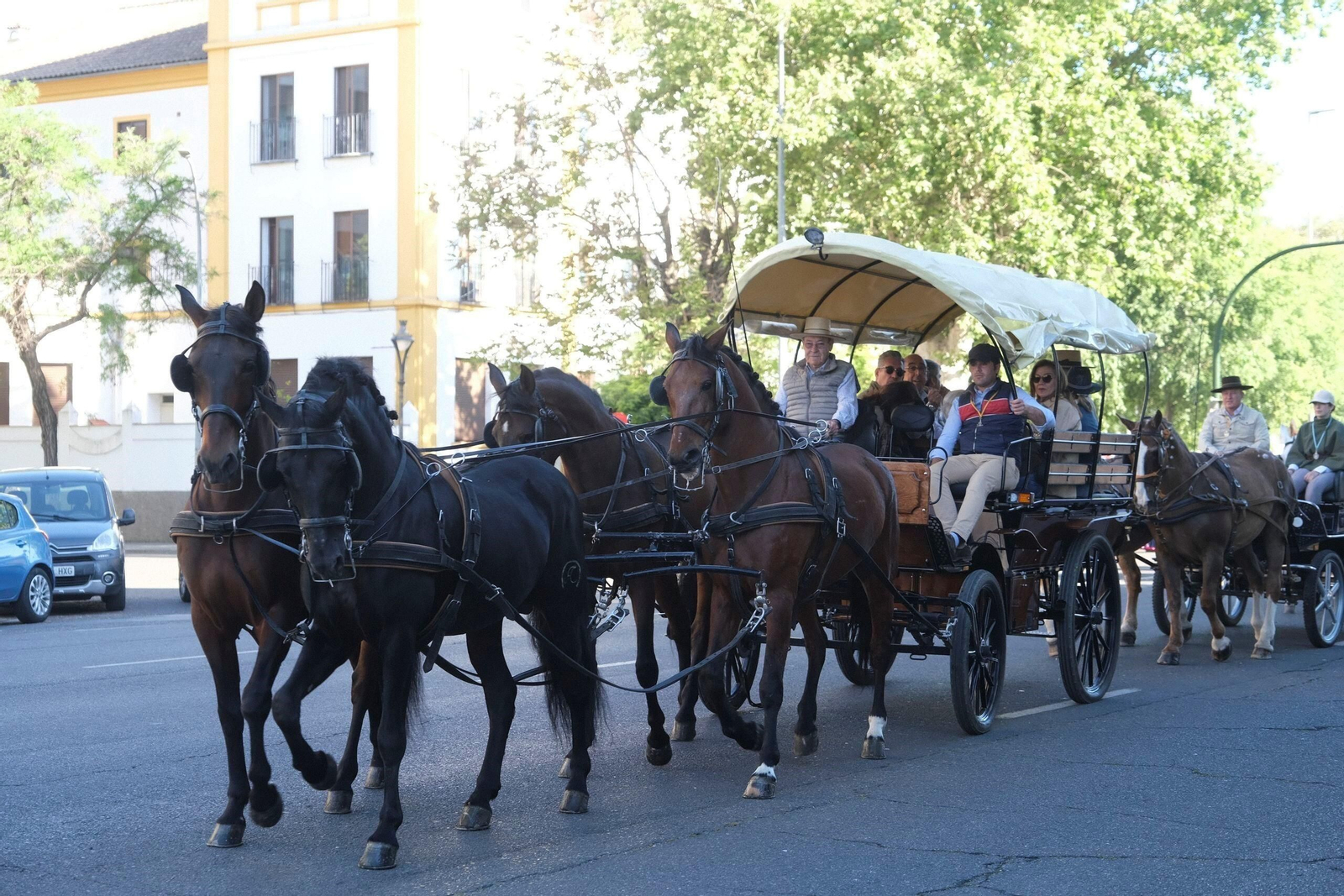 La romería de Santo Domingo en Córdoba, en imágenes