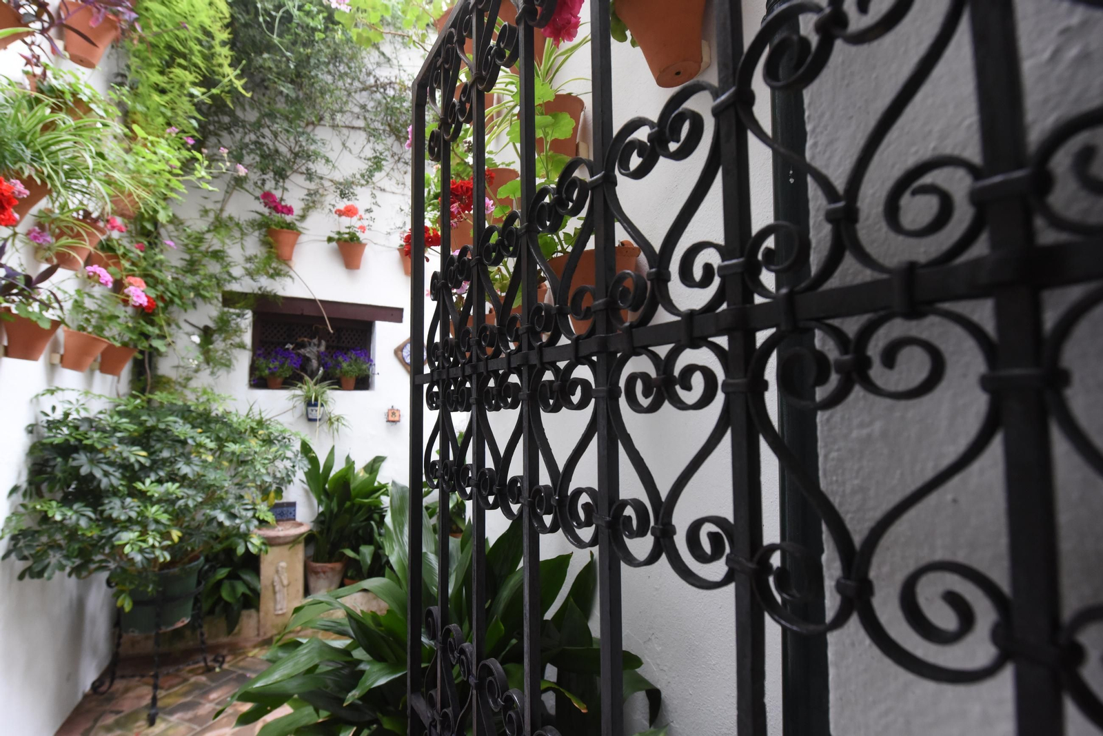 Una ruta en imágenes por los patios de la Judería y San Francisco