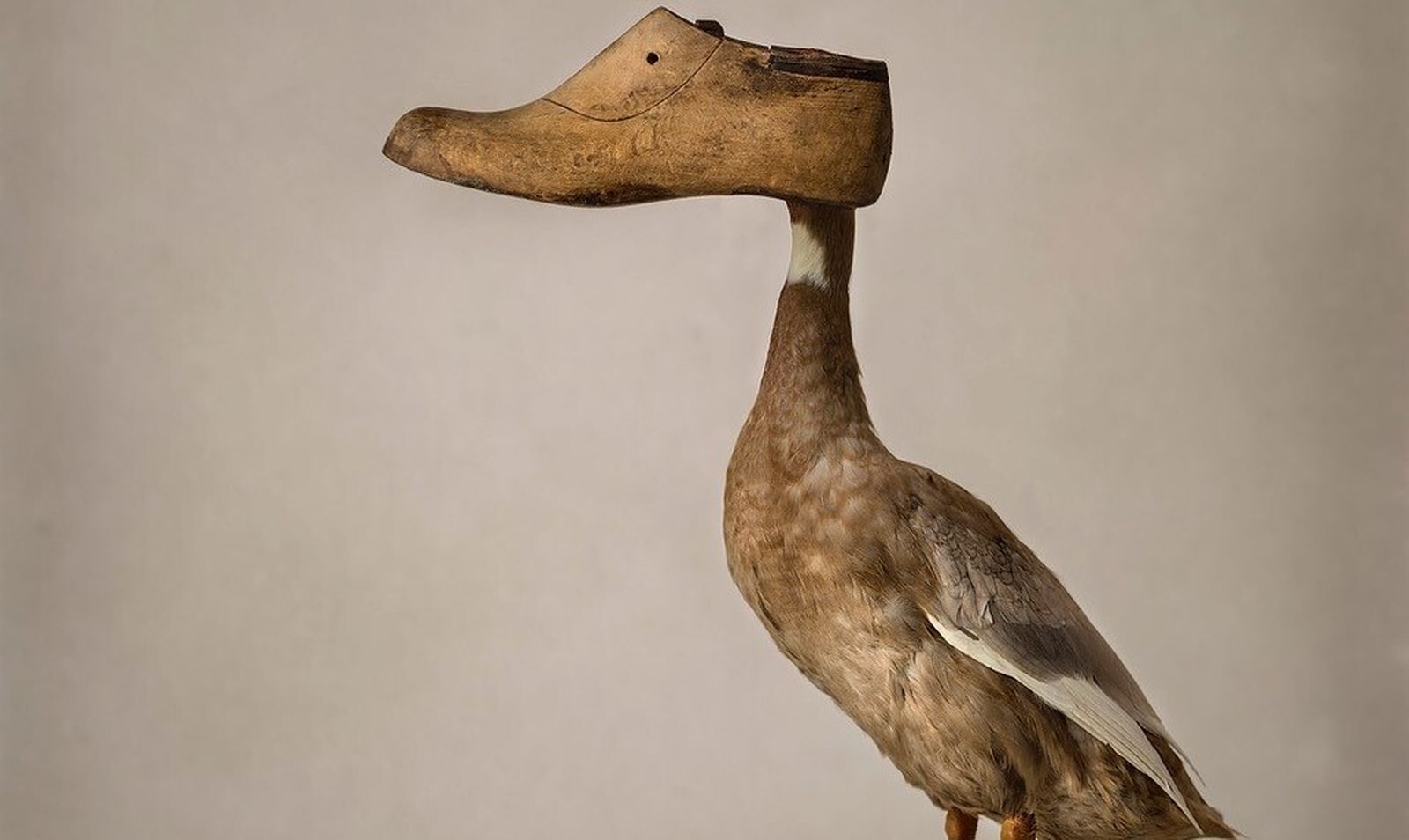 Fotografía por la que ha sido nominada a los premios nacionales la fotógrafa chiclanera.