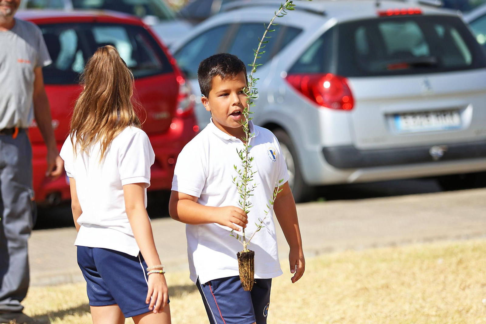 Los alumnos del colegio Virgen del Rocío realizan una plantación de arboles en el Hospital Juan Ramón Jiménez