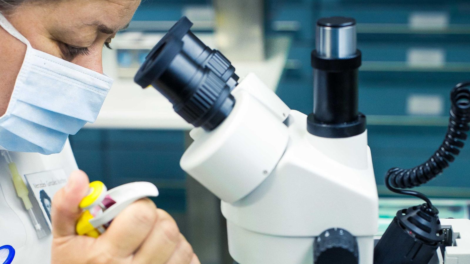 Una especialista realiza la técnica de reproducción asistida.