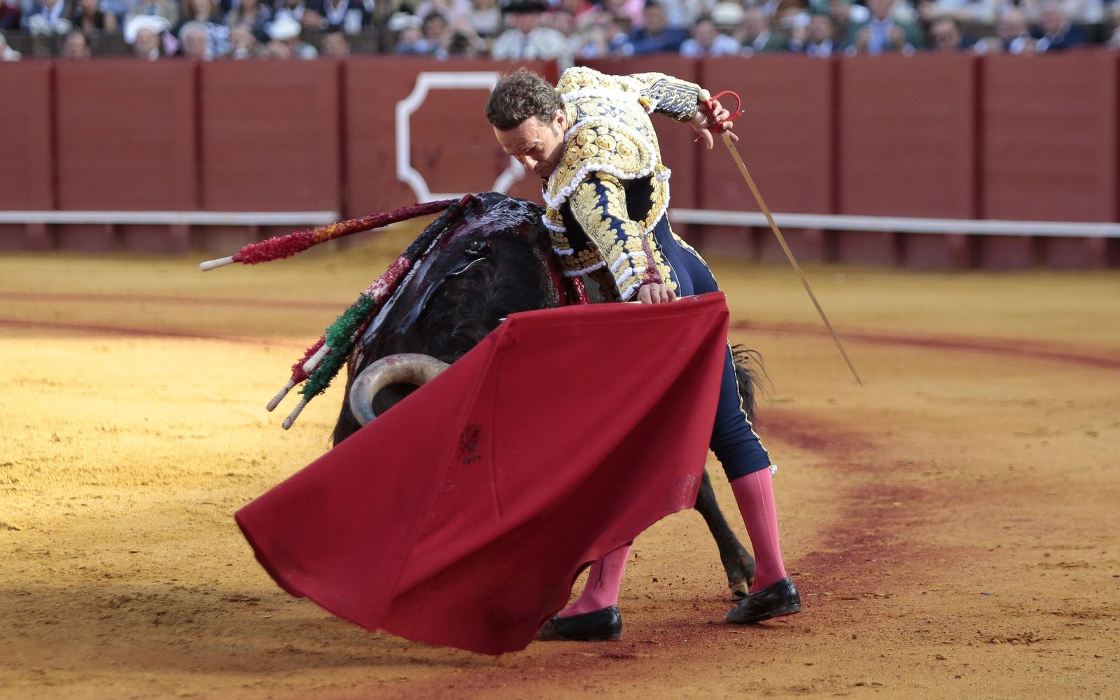 Las imágenes de la undécima de abono de la Maestranza
