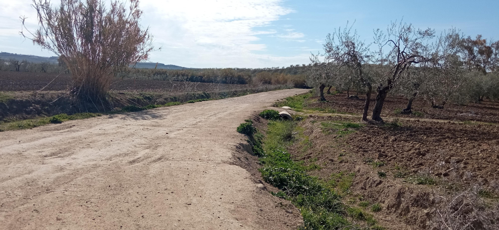 Las imágenes de la ruta de la dehesa de Albaida del Aljarafe