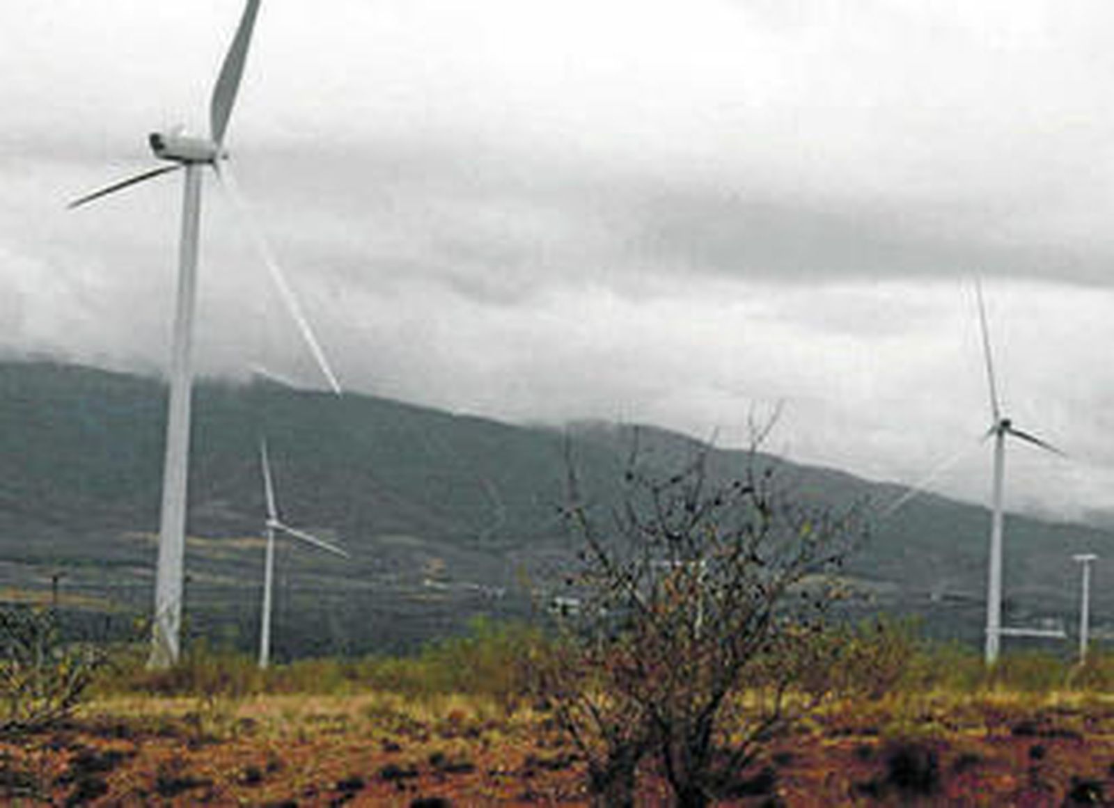 La comarca del Nacimiento aglutina la mayor parte de parques eólicos de la provincia.