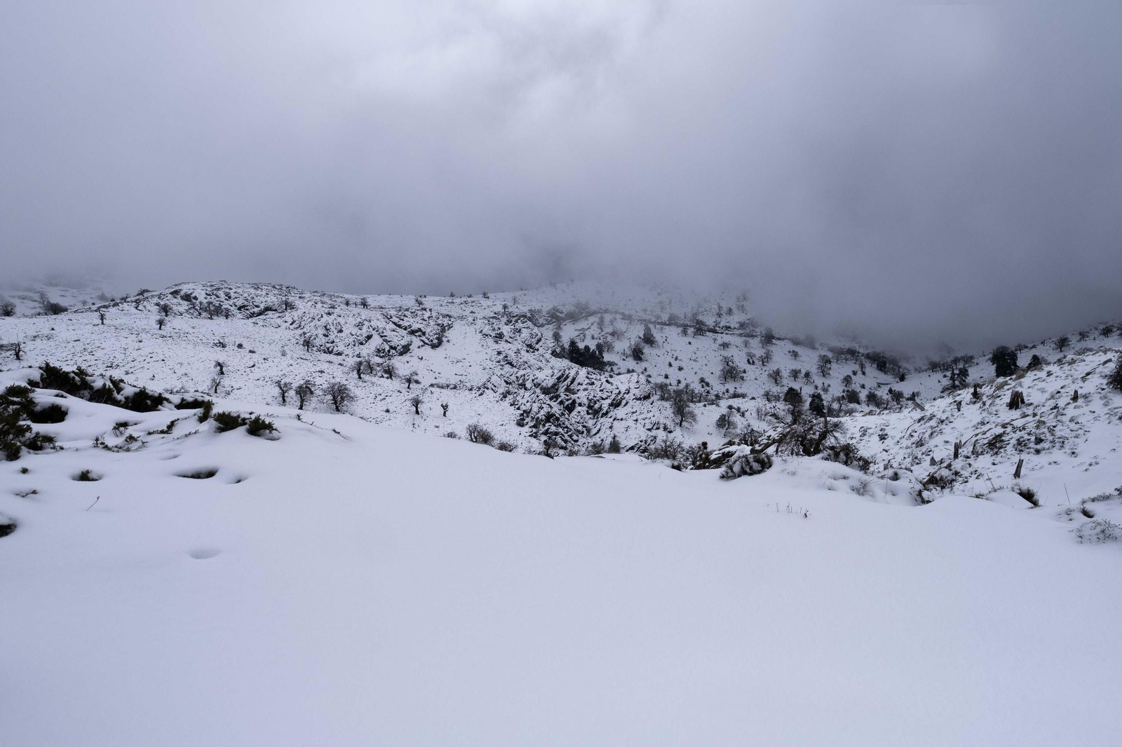 La ruta por la nieve en el Parque Nacional Sierra de las Nievas, en imágenes