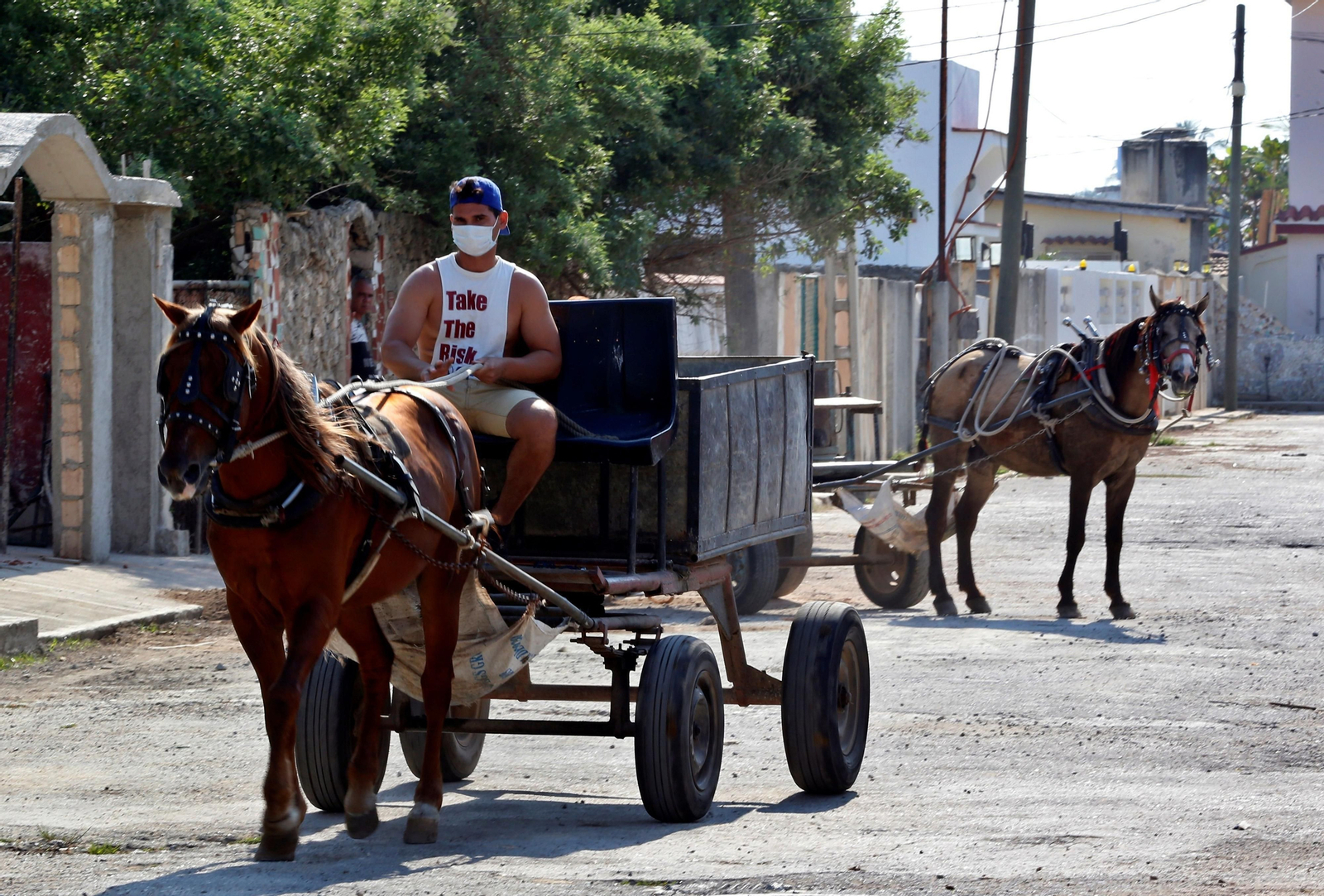 Un hombre con mascarilla lleva las riendas de su caballo en Cuba