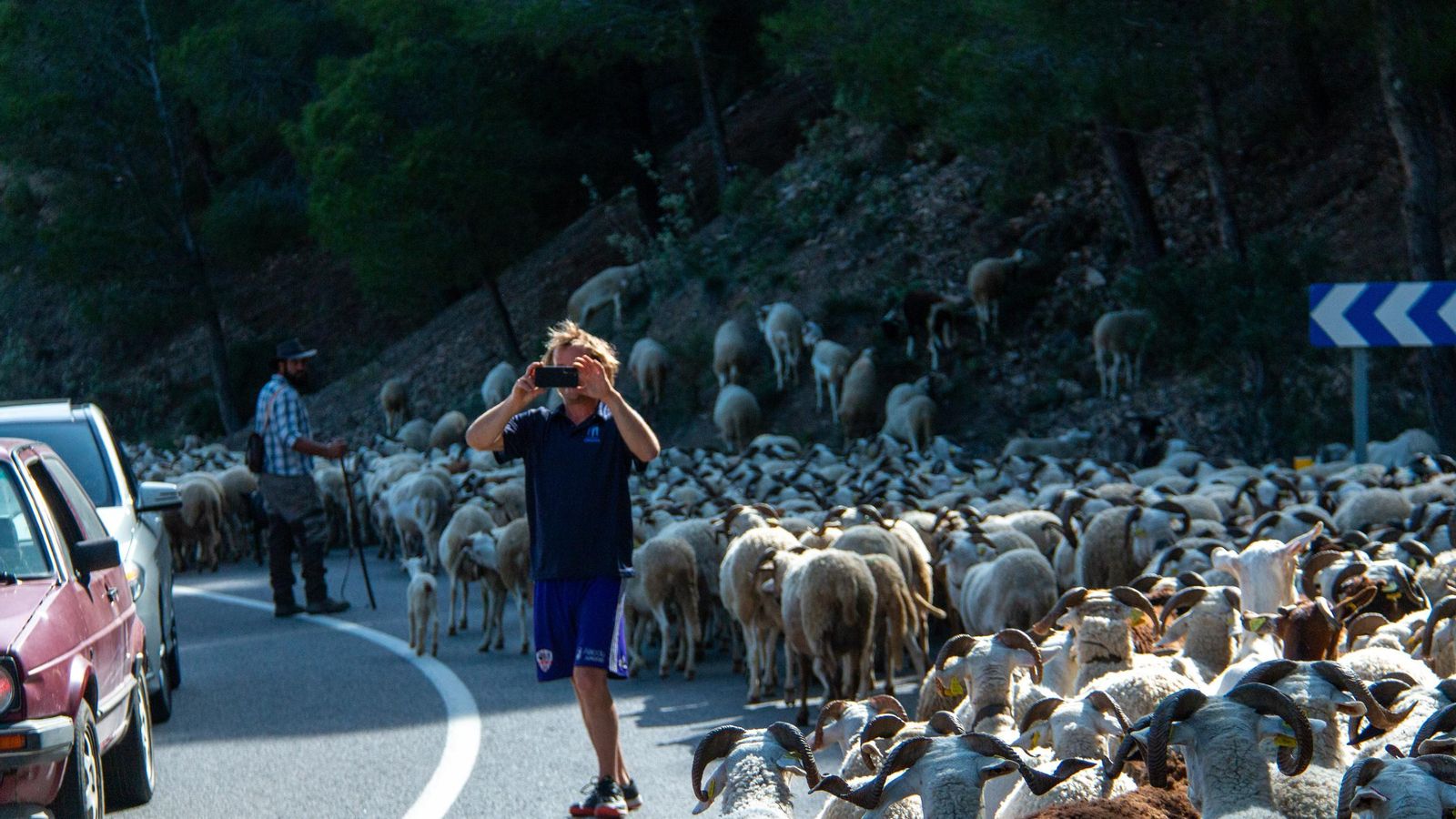 Algunos aprovechan para hacer fotos