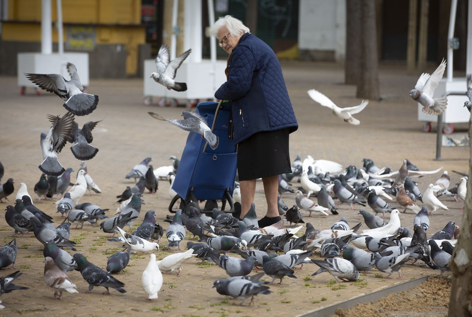 Una anciana, rodeada de palomas en la Alameda de Hércules.