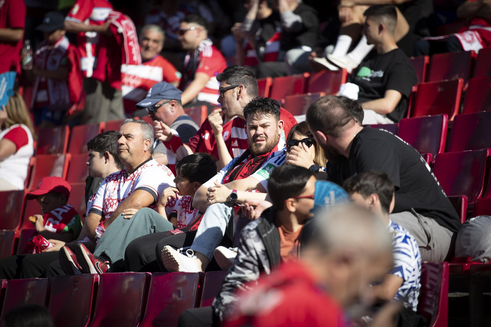Encuéntrate en la grada de Los Cármenes en el partido del Granada CF-Elche