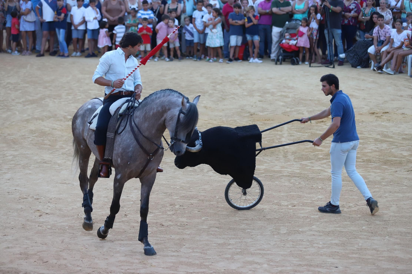 Imágenes de la clase de rejoneo de Andrés Romero en la Plaza de Toros