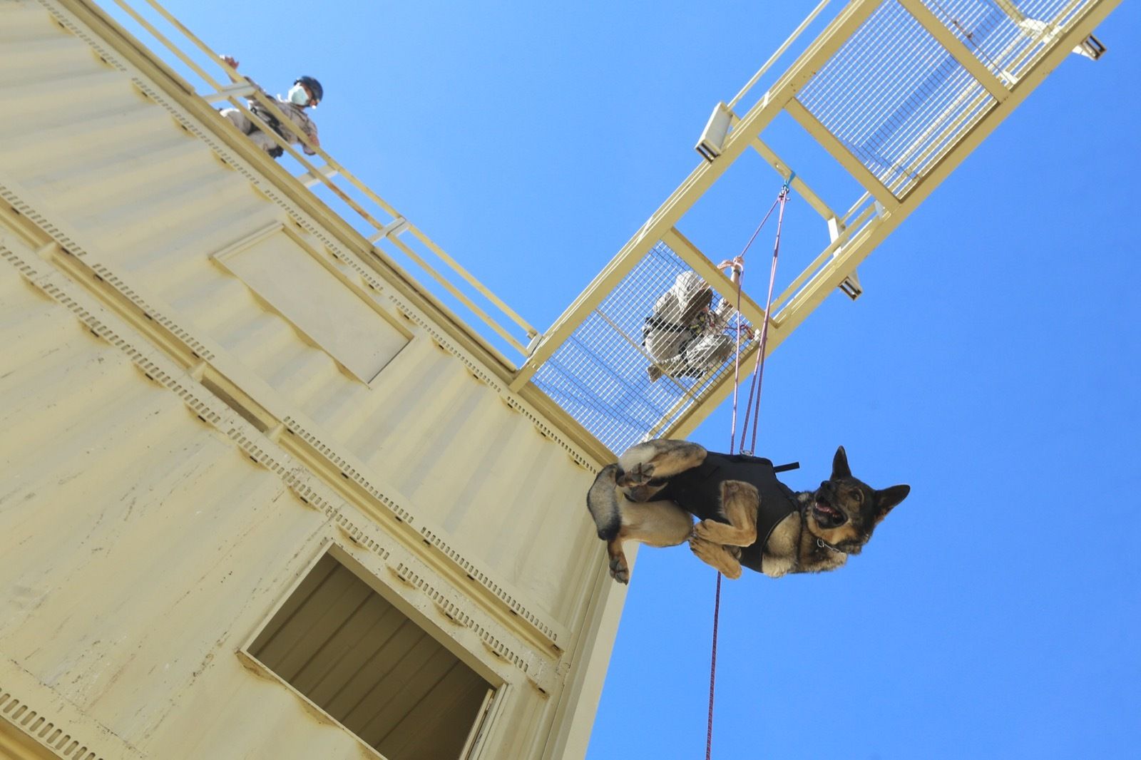 Ejercicio de Adiestramiento 2021 de Unidades Caninas en el TEAR.
