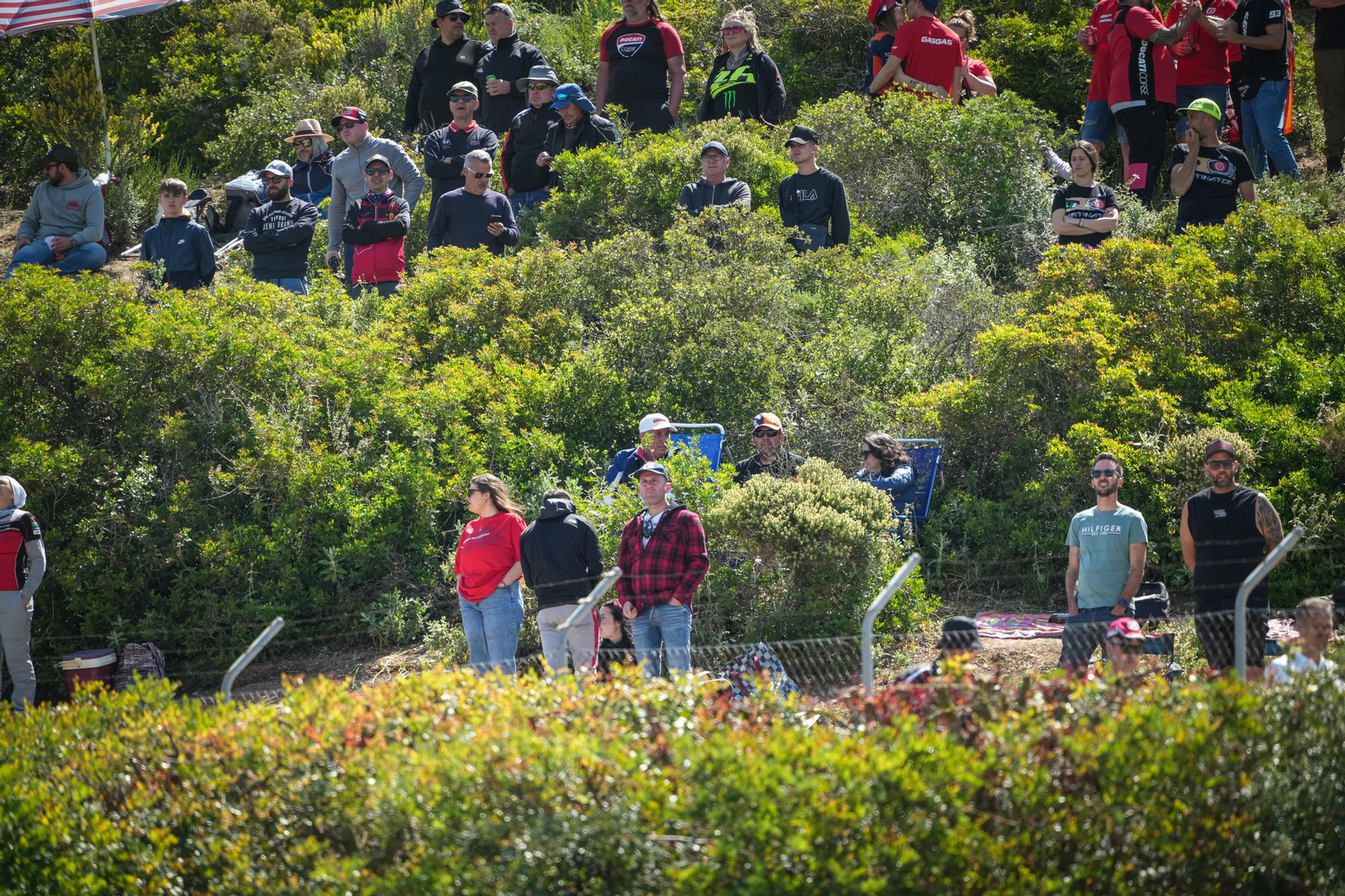 Búscate en las carreras del Gran Premio de España en Jerez