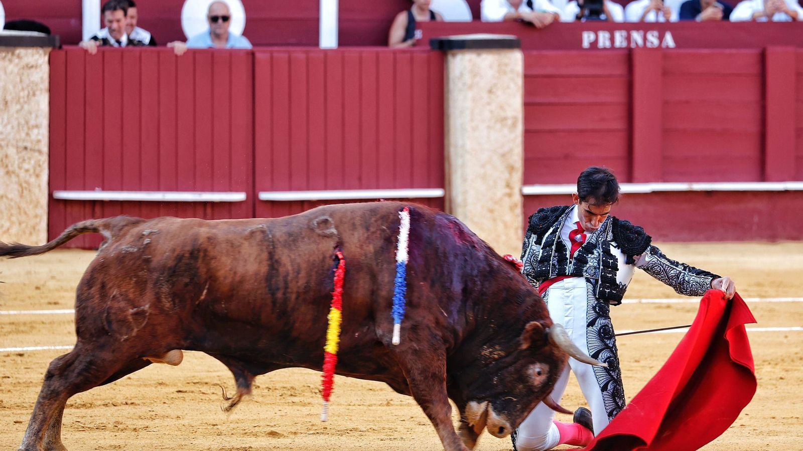 Fortes toreando al natural de rodillas a Ponderoso.