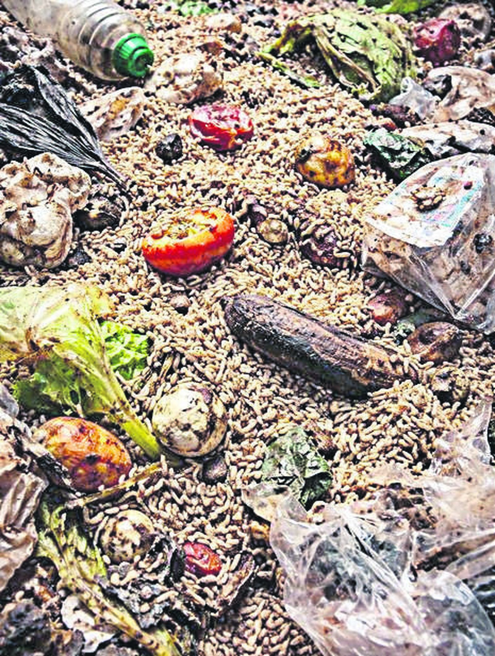 En la podredumbre, solo viven los gusanos