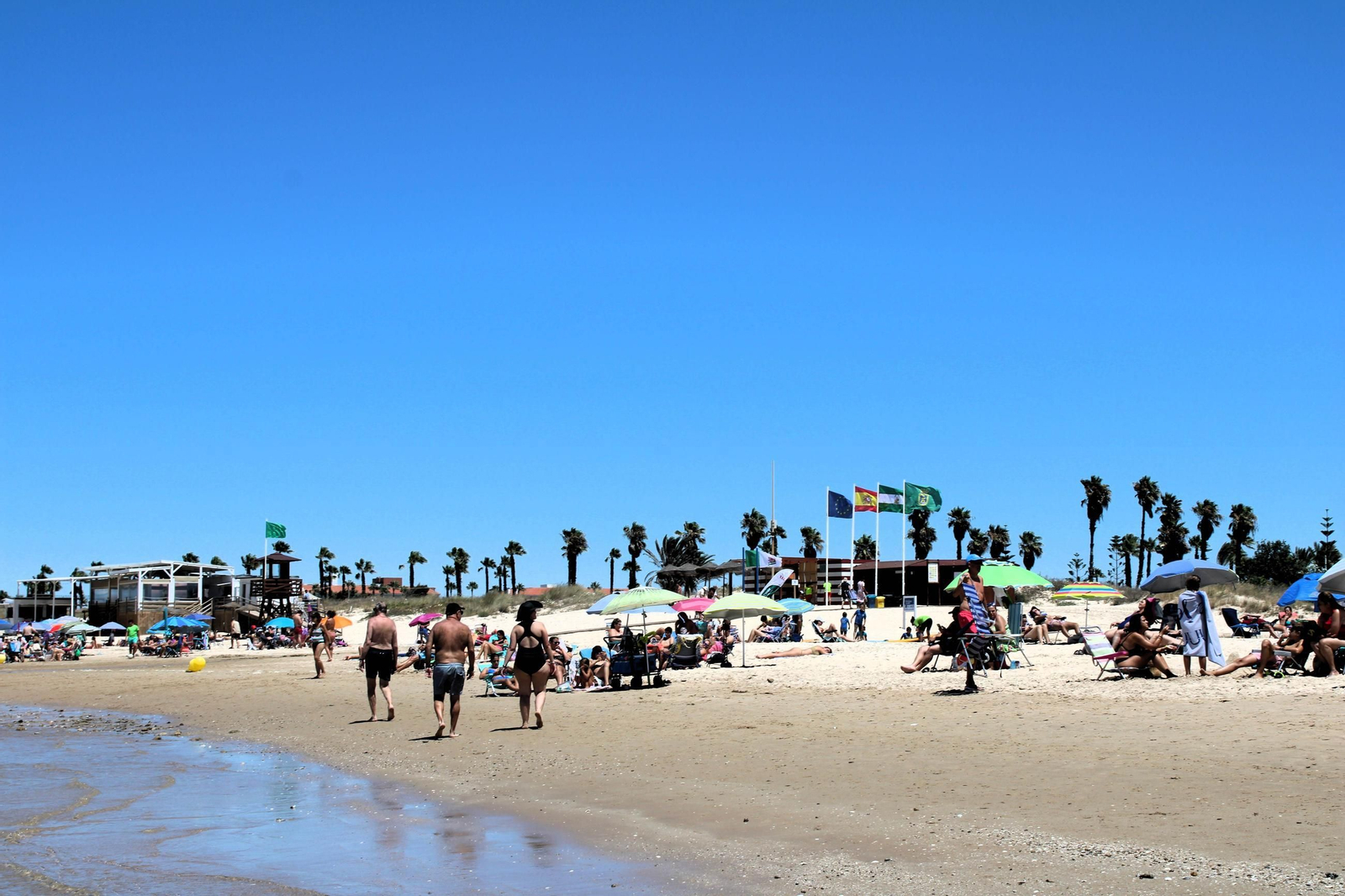 Playa de Costa Ballena, en Rota..JPG Playa de Costa Ballena, en Rota..JPG
