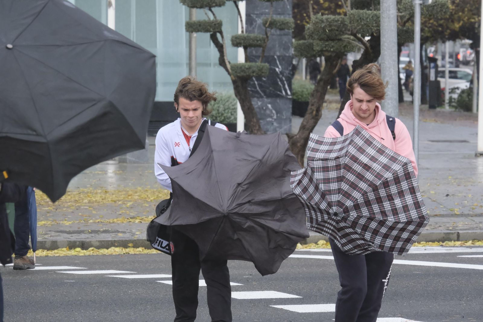 El paso de la borrasca Efraín por Córdoba, en imágenes