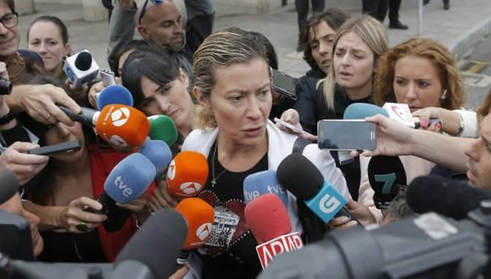 La madre de Diana Quer: "Hago un llamamiento a quien haya podido verla subirse a un coche"