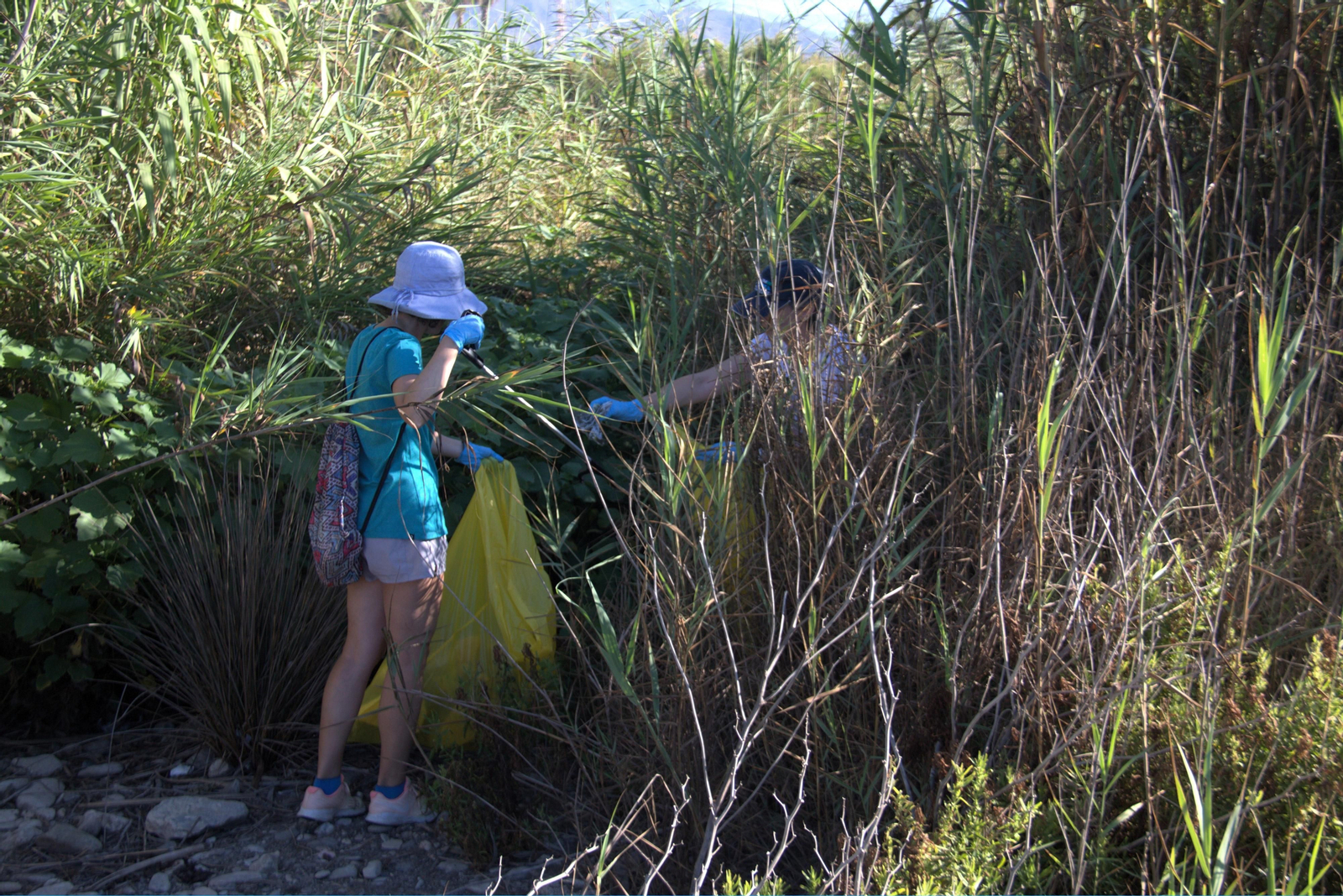 Así ha sido la jornada de limpieza de la desembocadura del río Guadalfeo en Salobreña