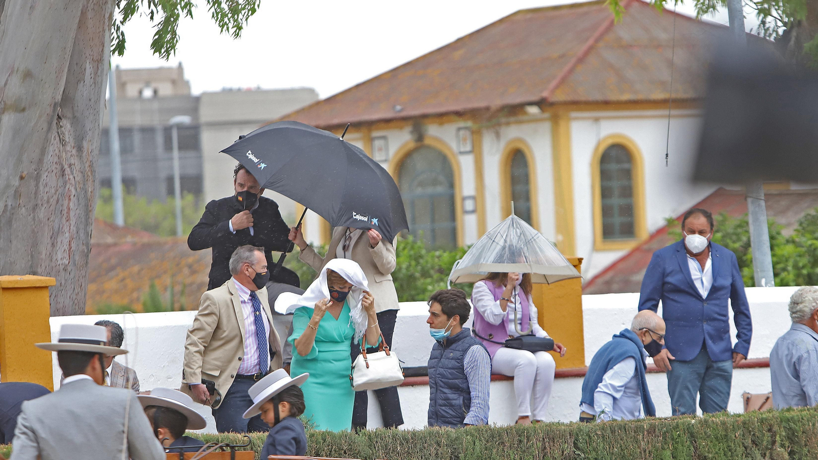 Entrega del Caballo de Oro 2020 al cochero Antonio Carrasco