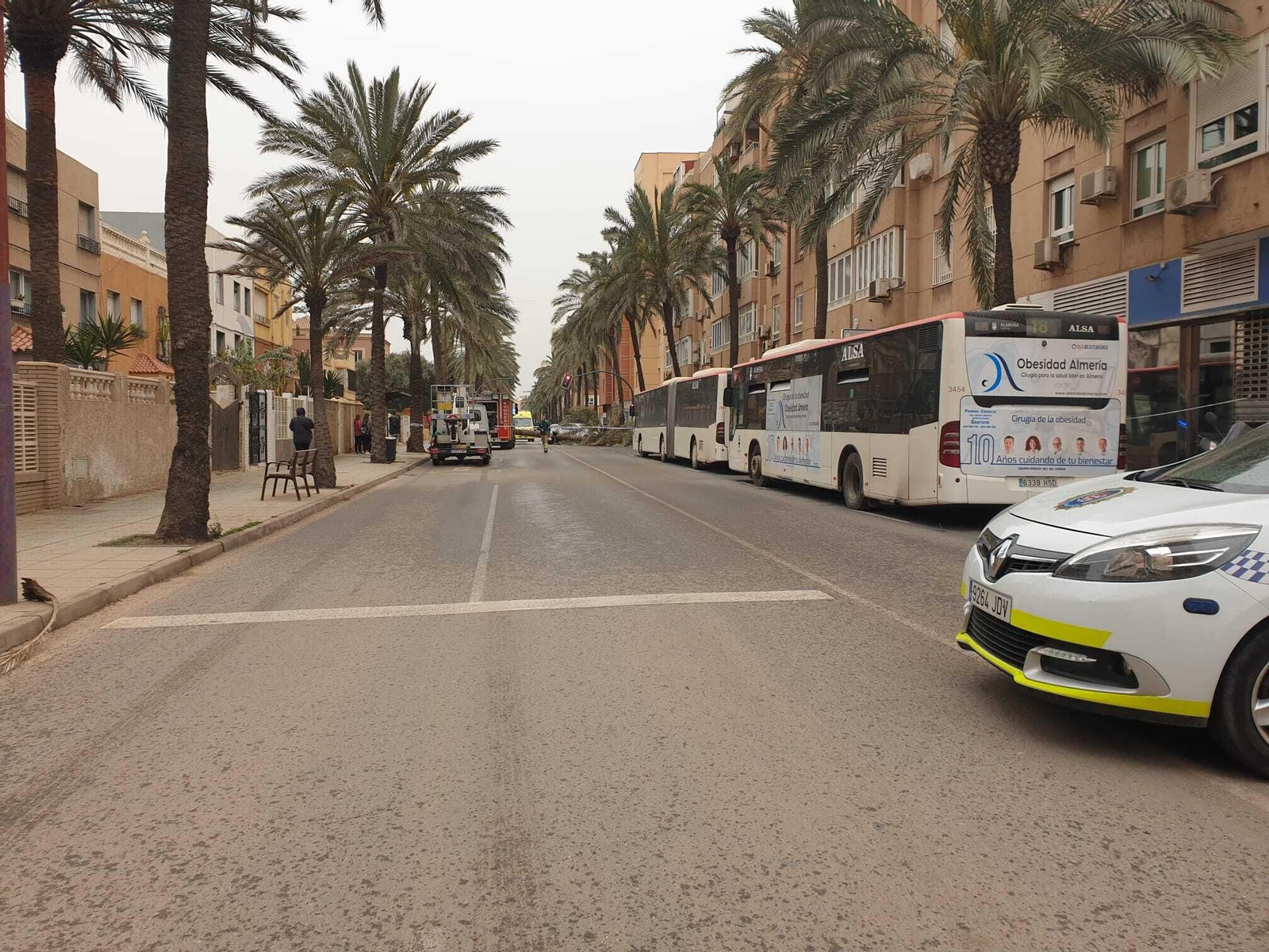 Una palmera causa un brutal accidente en Almería