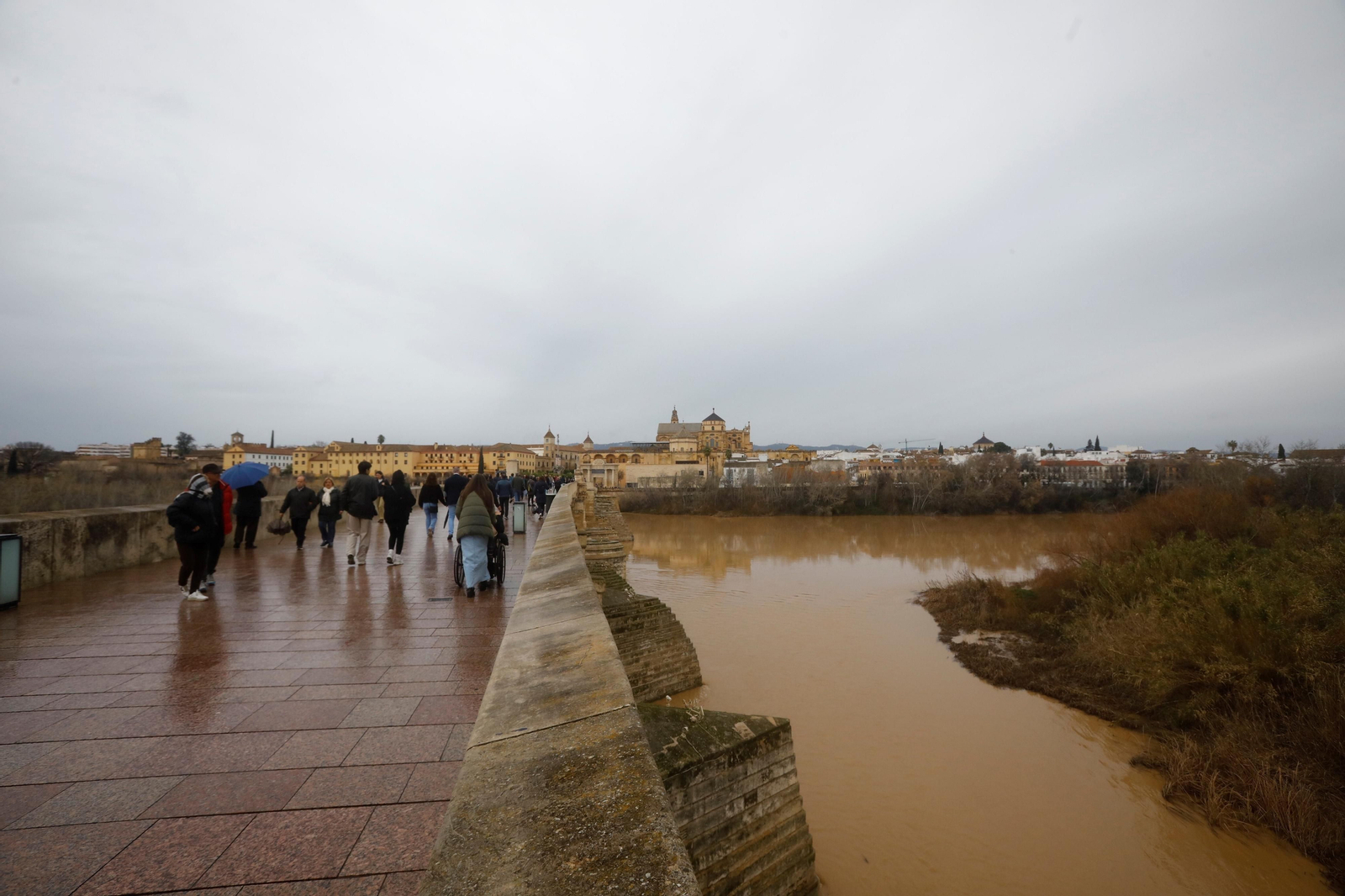 La crecida del río Guadalquivir en Córdoba tras las lluvias caídas por la borrasca Karlotta, en imágenes