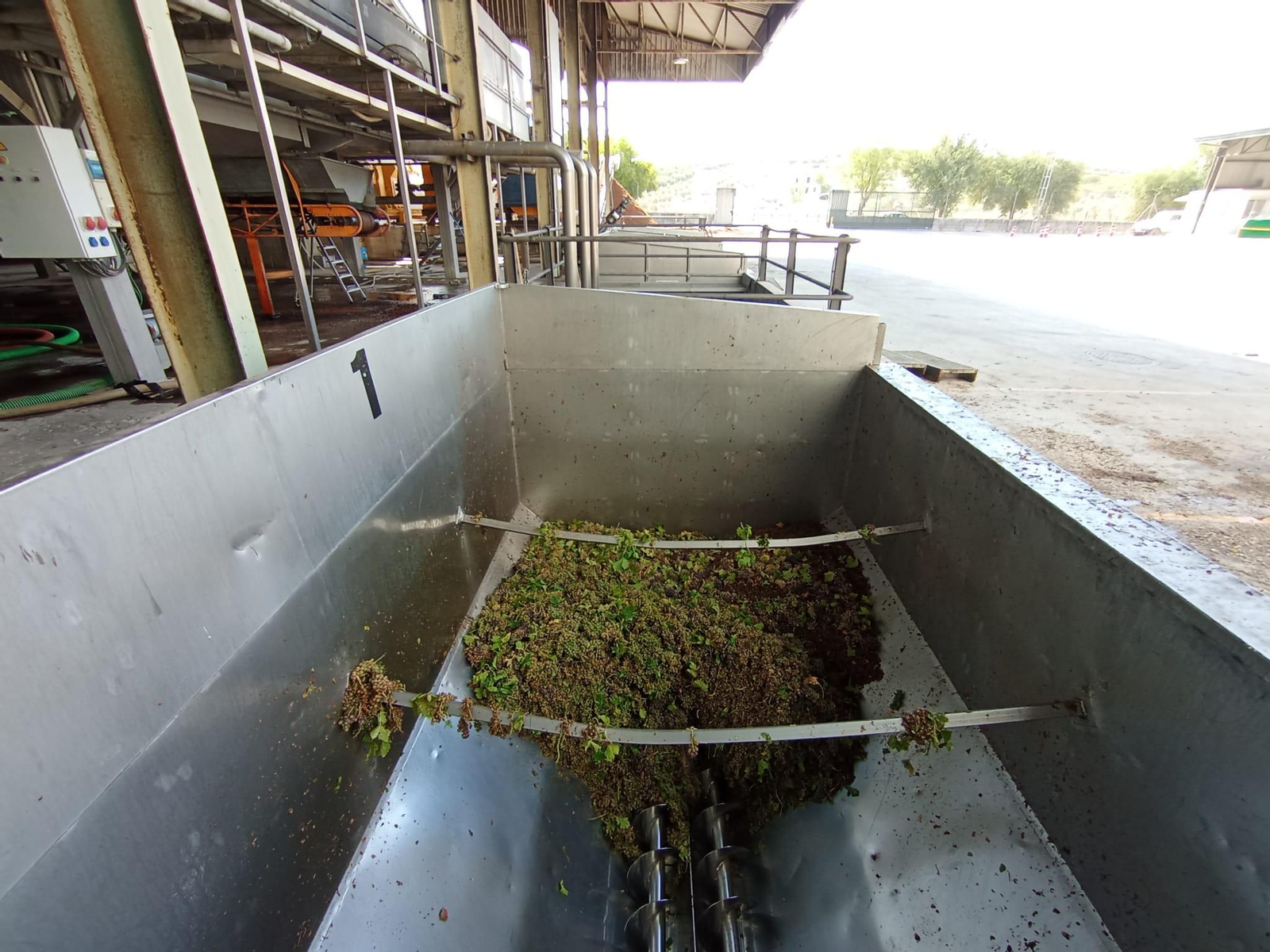 La vendimia de Montilla-Moriles