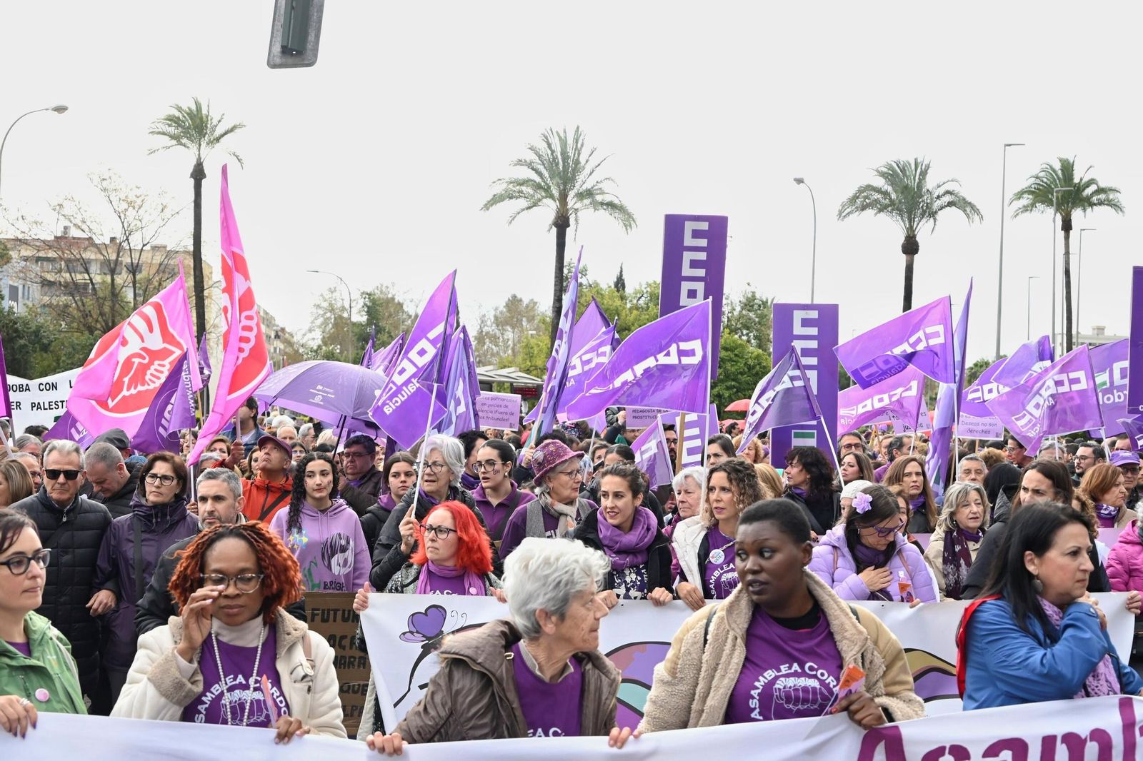 La manifestación del 8M en Córdoba, en imágenes